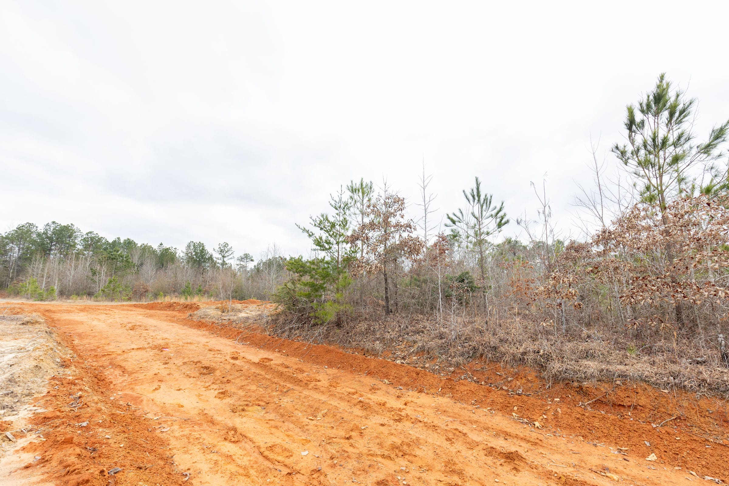 Baker Creek Tract 1 photo 7