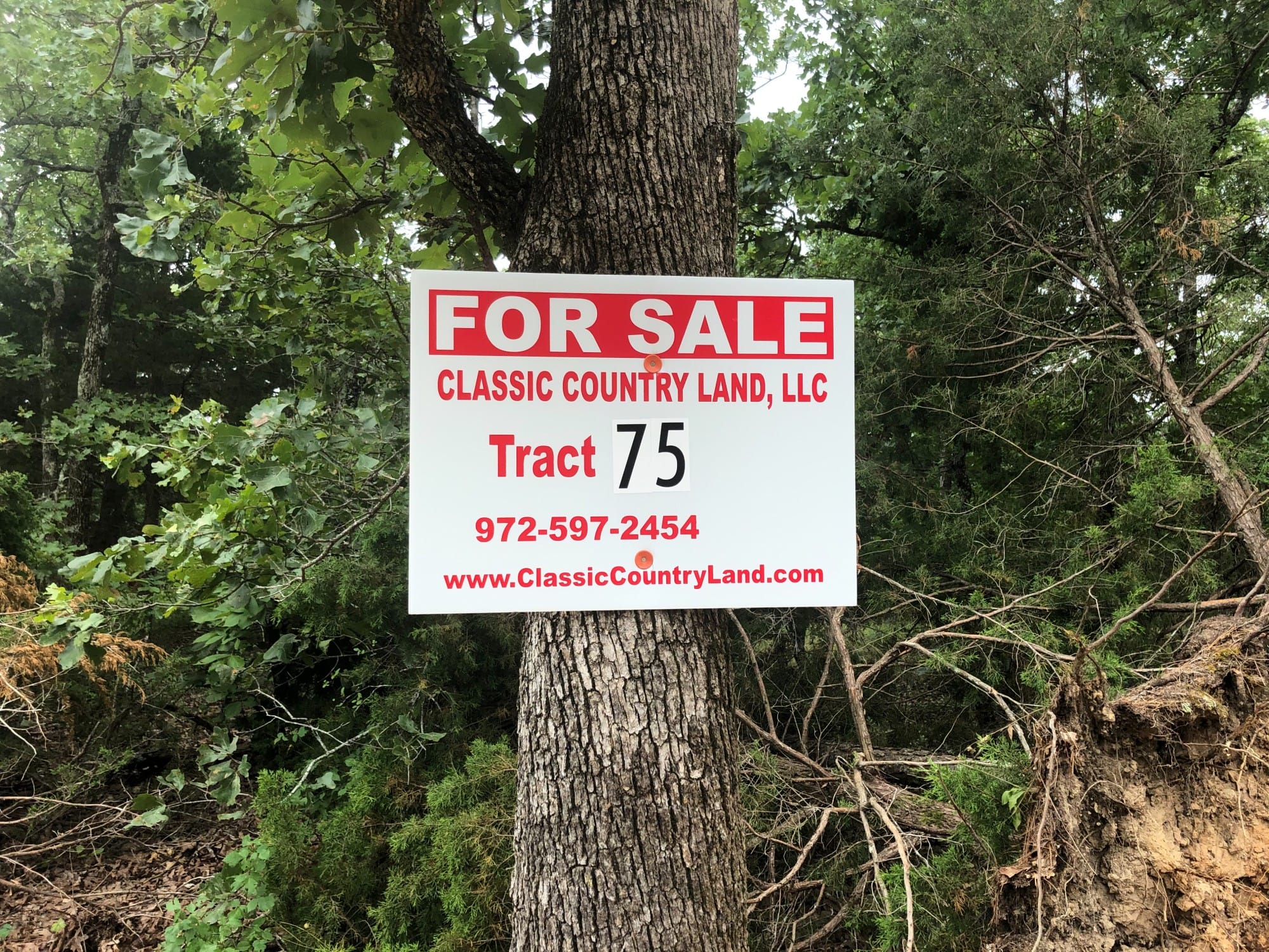 Eagle’s Nest Tract 75 photo 1