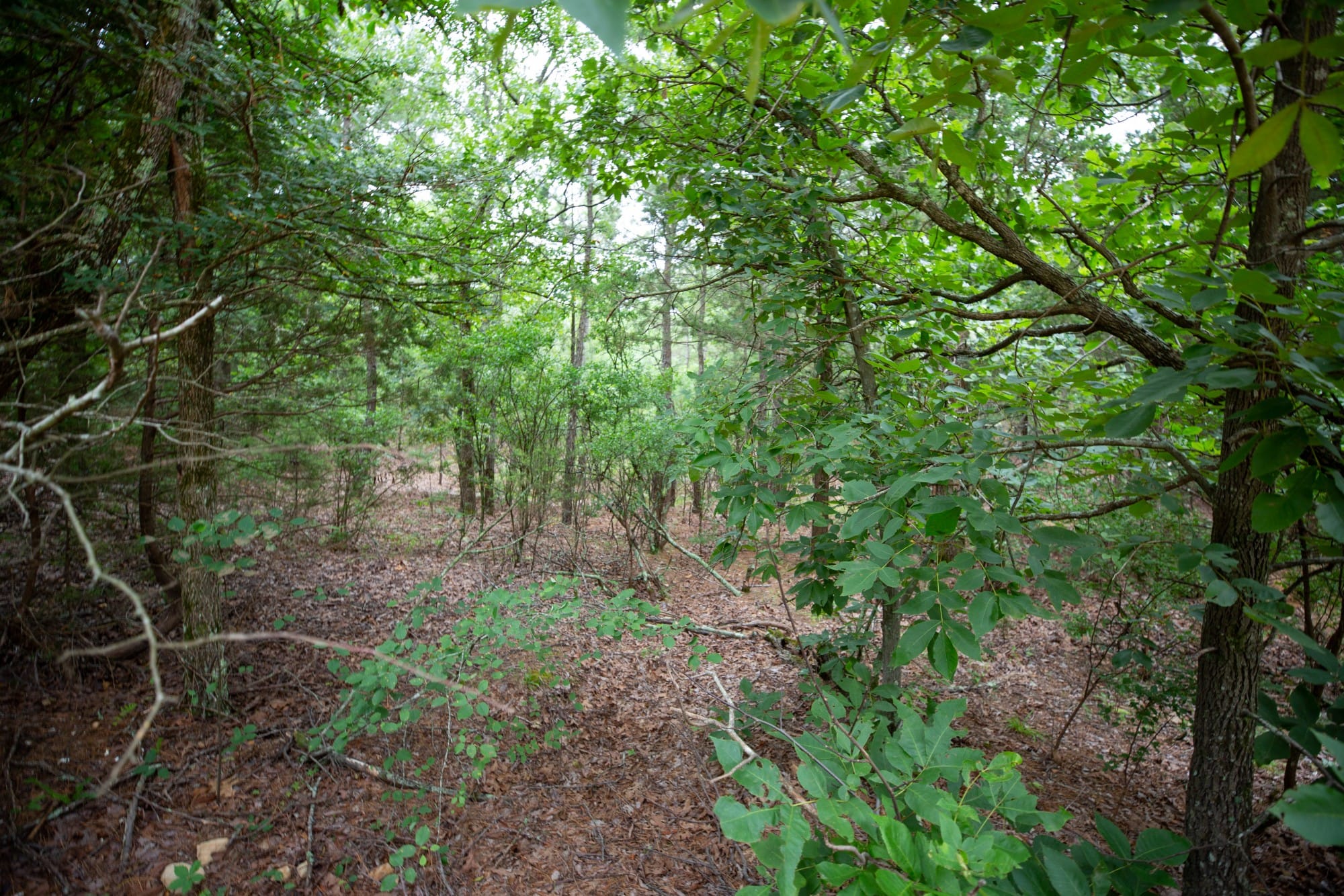 Eagle’s Nest Tract 75 photo 2