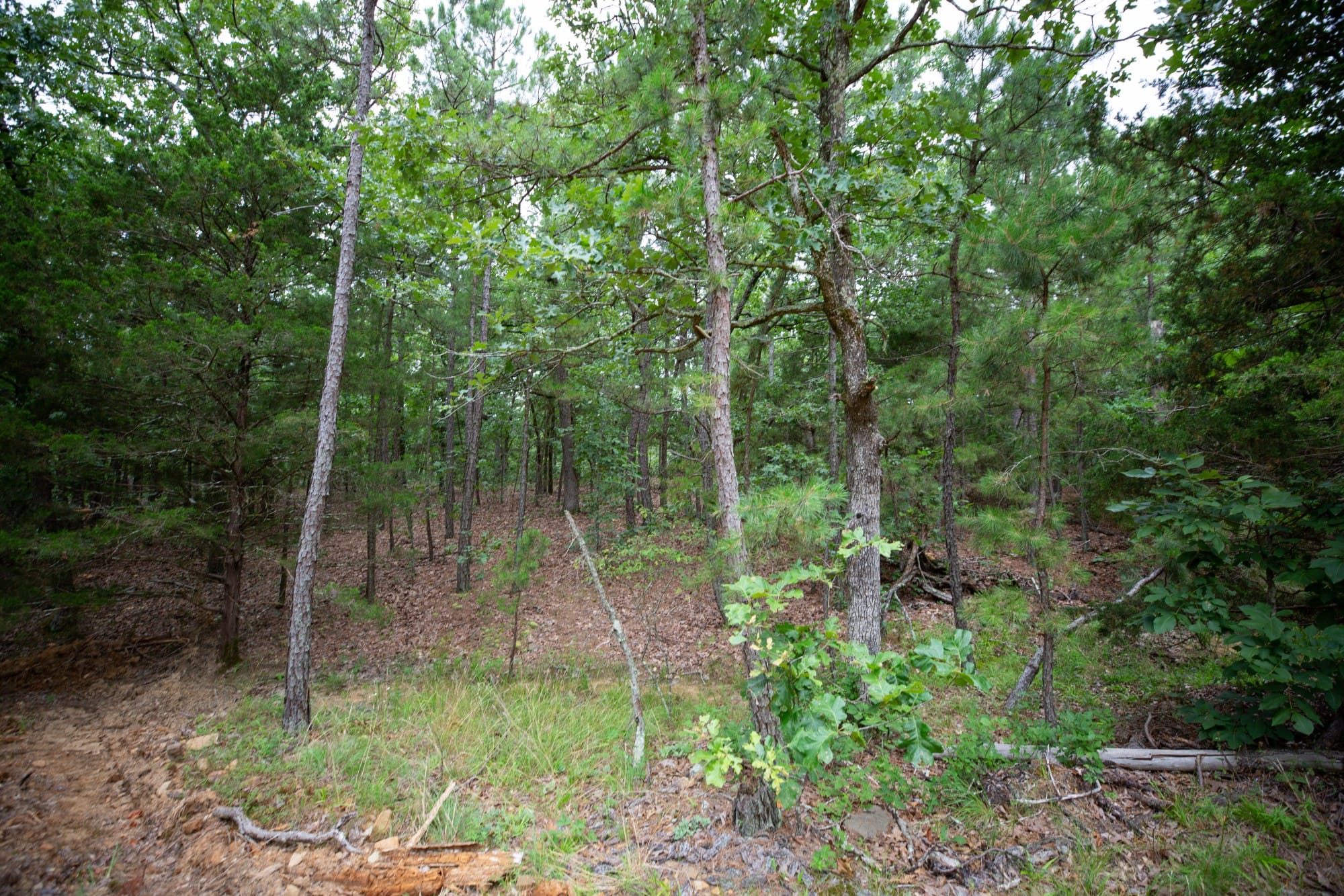 Eagle’s Nest Tract 75 photo 4