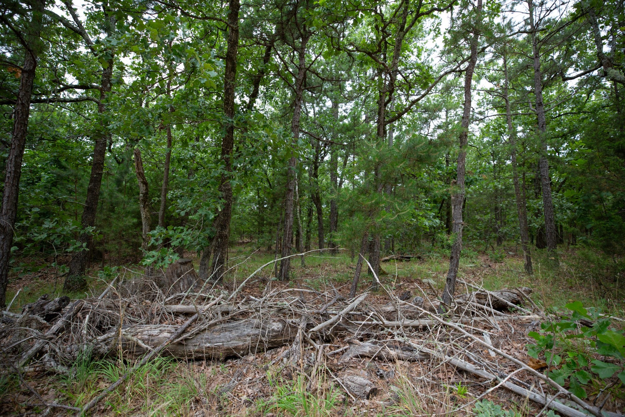 Eagle’s Nest Tract 75 photo 5
