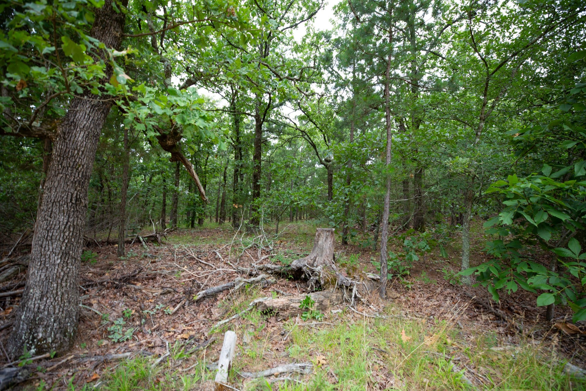 Eagle’s Nest Tract 75 photo 6