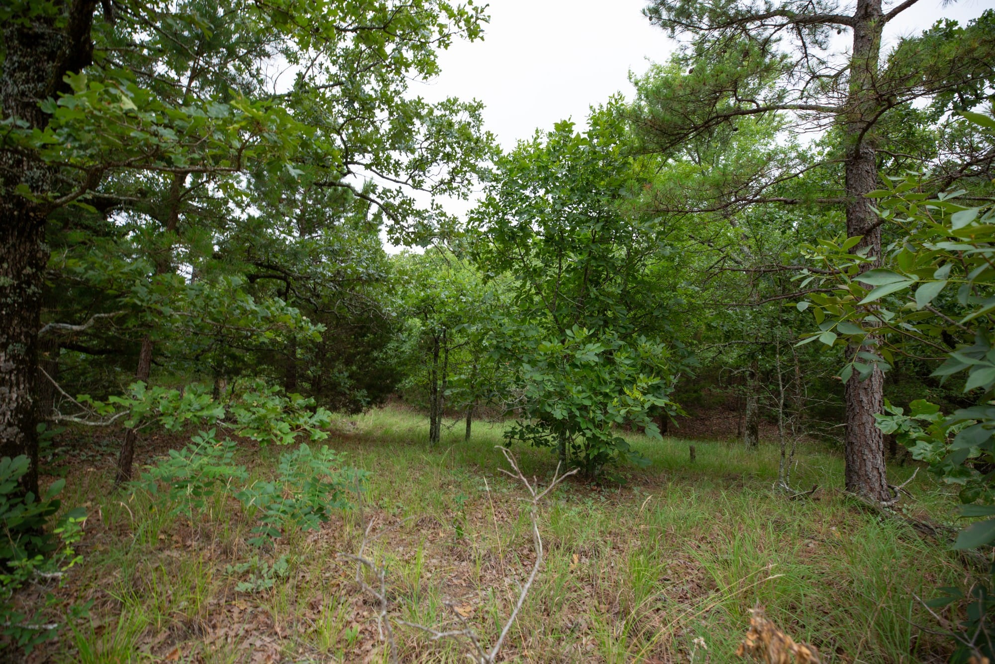 Eagle’s Nest Tract 75 photo 9