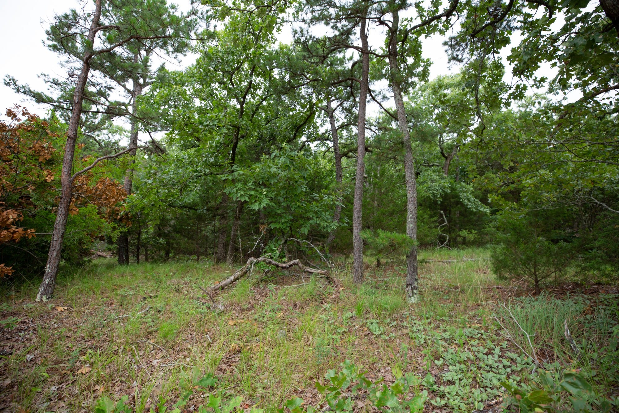 Eagle’s Nest Tract 75 photo 10