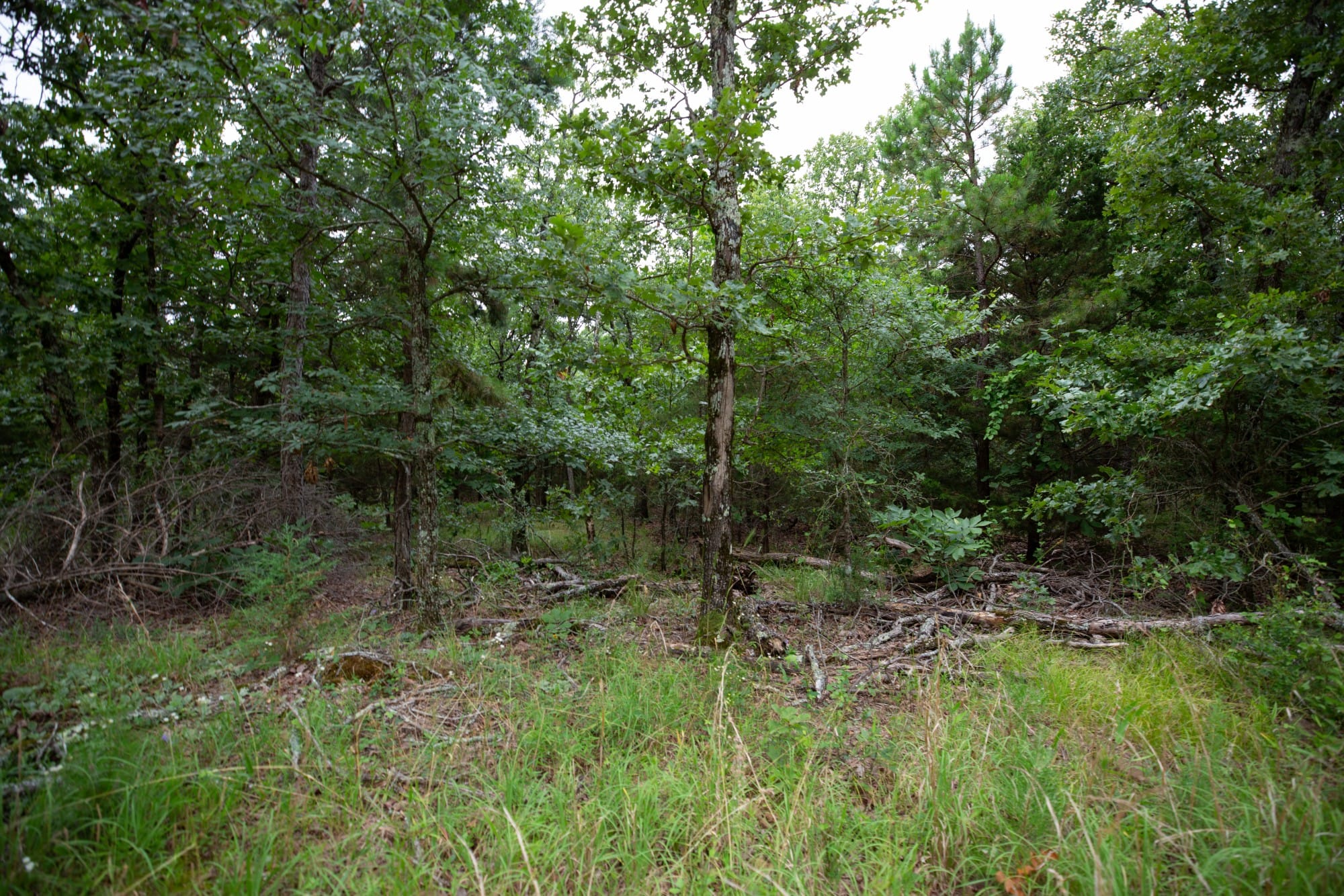 Eagle’s Nest Tract 75 photo 11