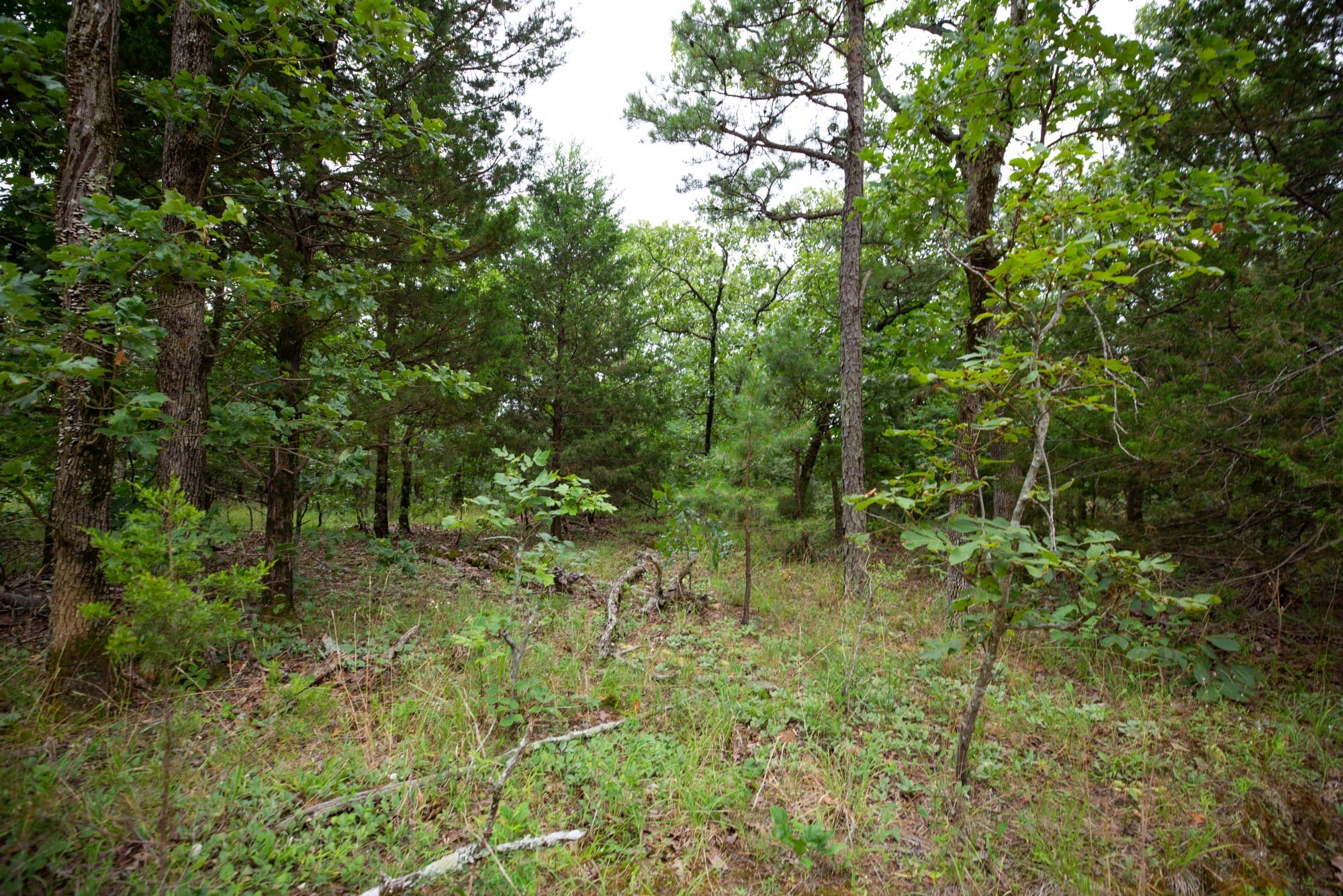 Eagle’s Nest Tract 75 photo 12