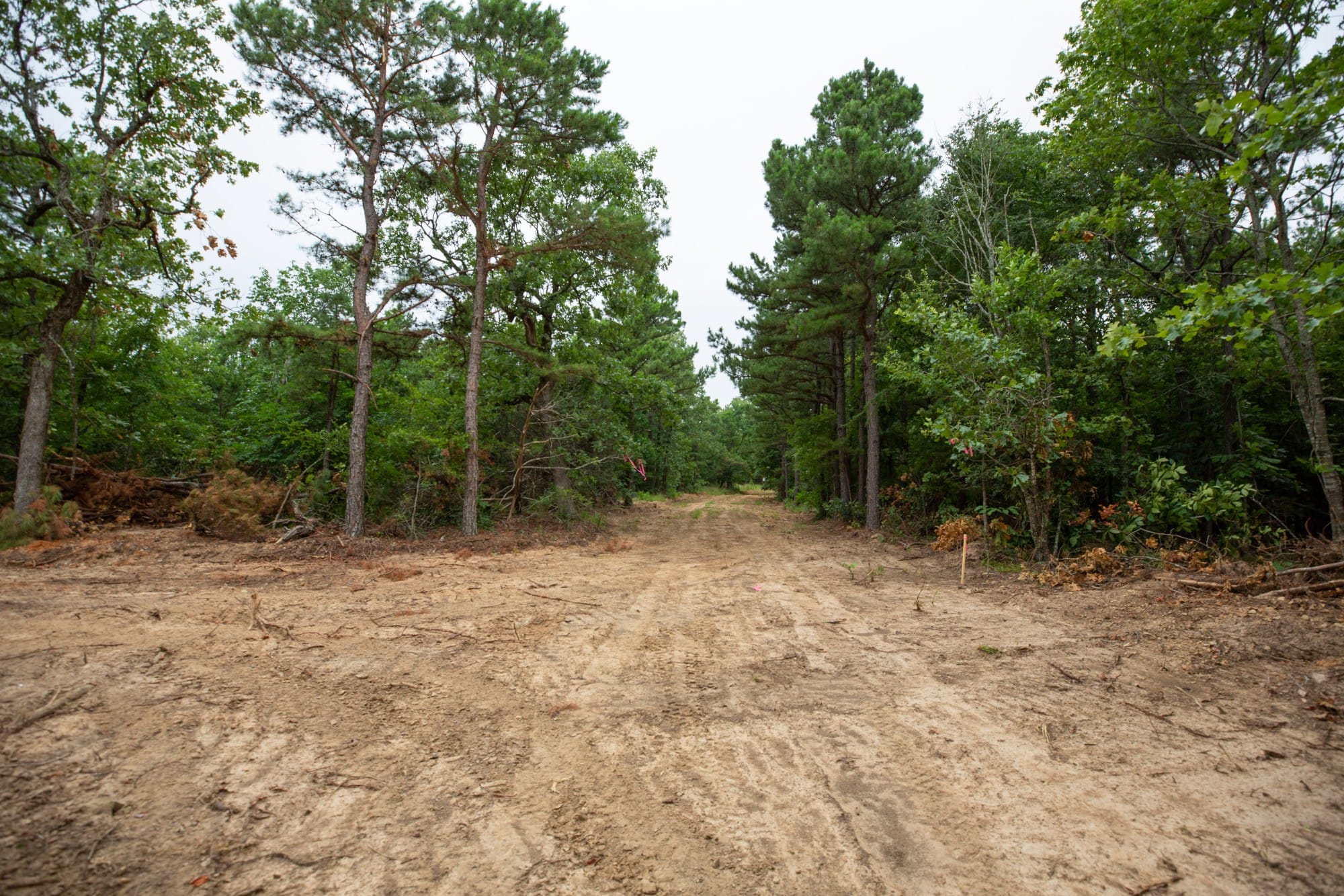 Eagle’s Nest Tract 75 photo 13
