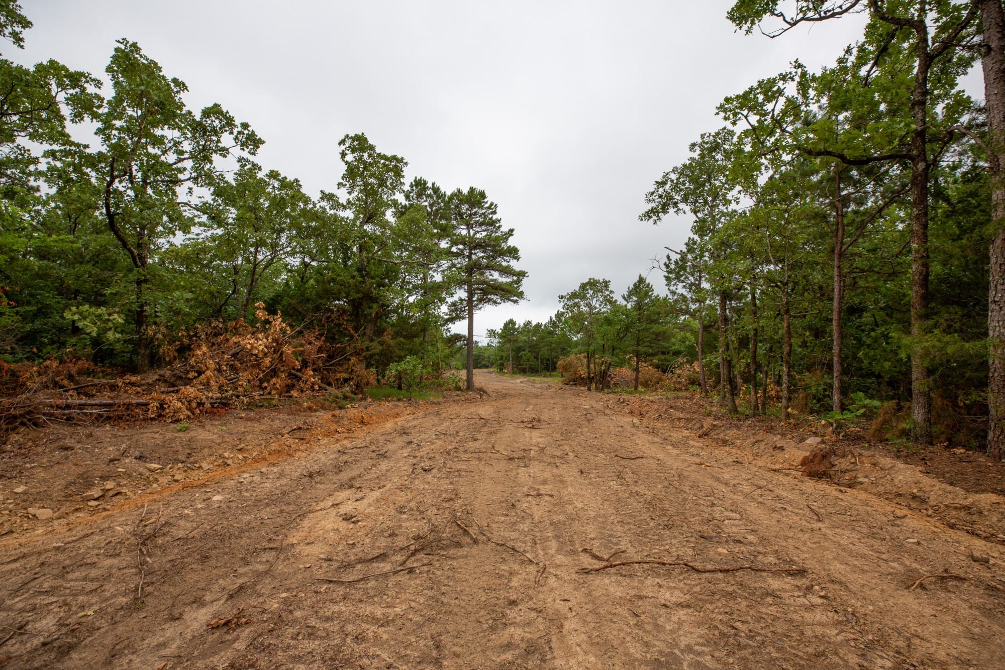 Eagle’s Nest Tract 75 photo 14
