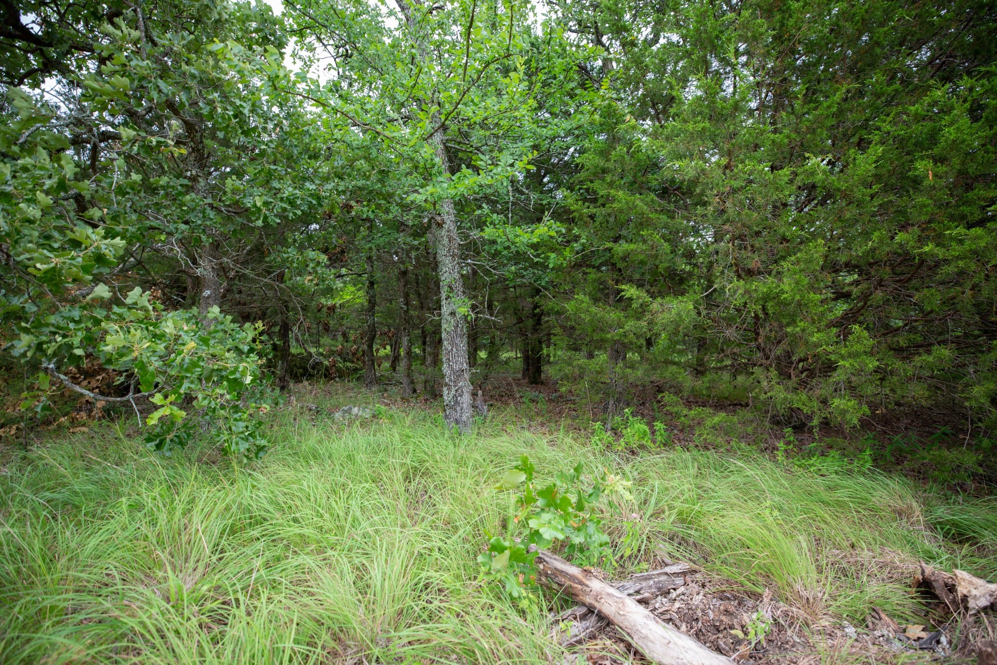Eagle’s Nest Tract 75 photo 16