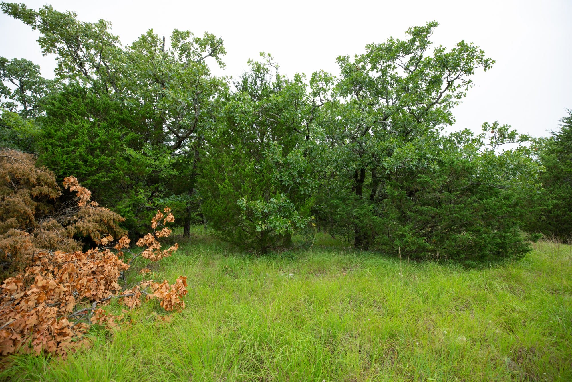 Eagle’s Nest Tract 75 photo 17