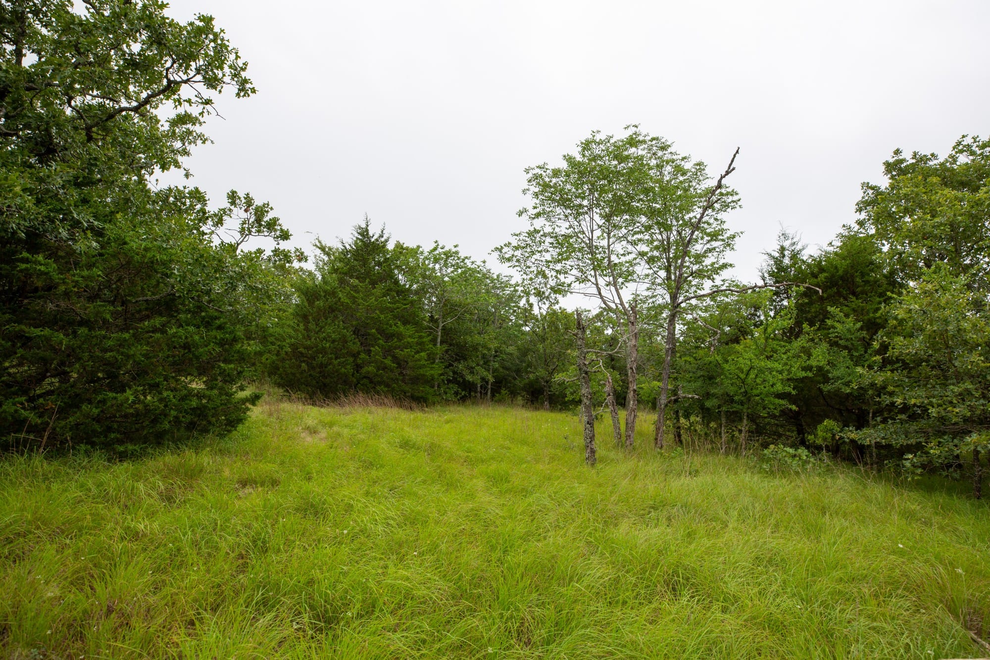 Eagle’s Nest Tract 75 photo 18