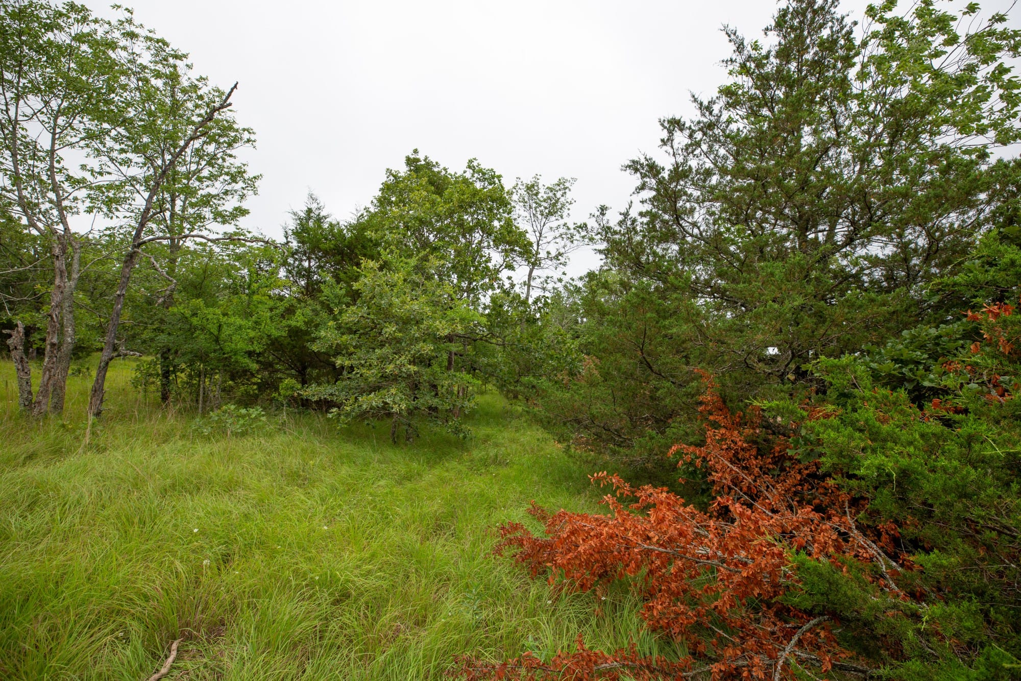 Eagle’s Nest Tract 75 photo 19
