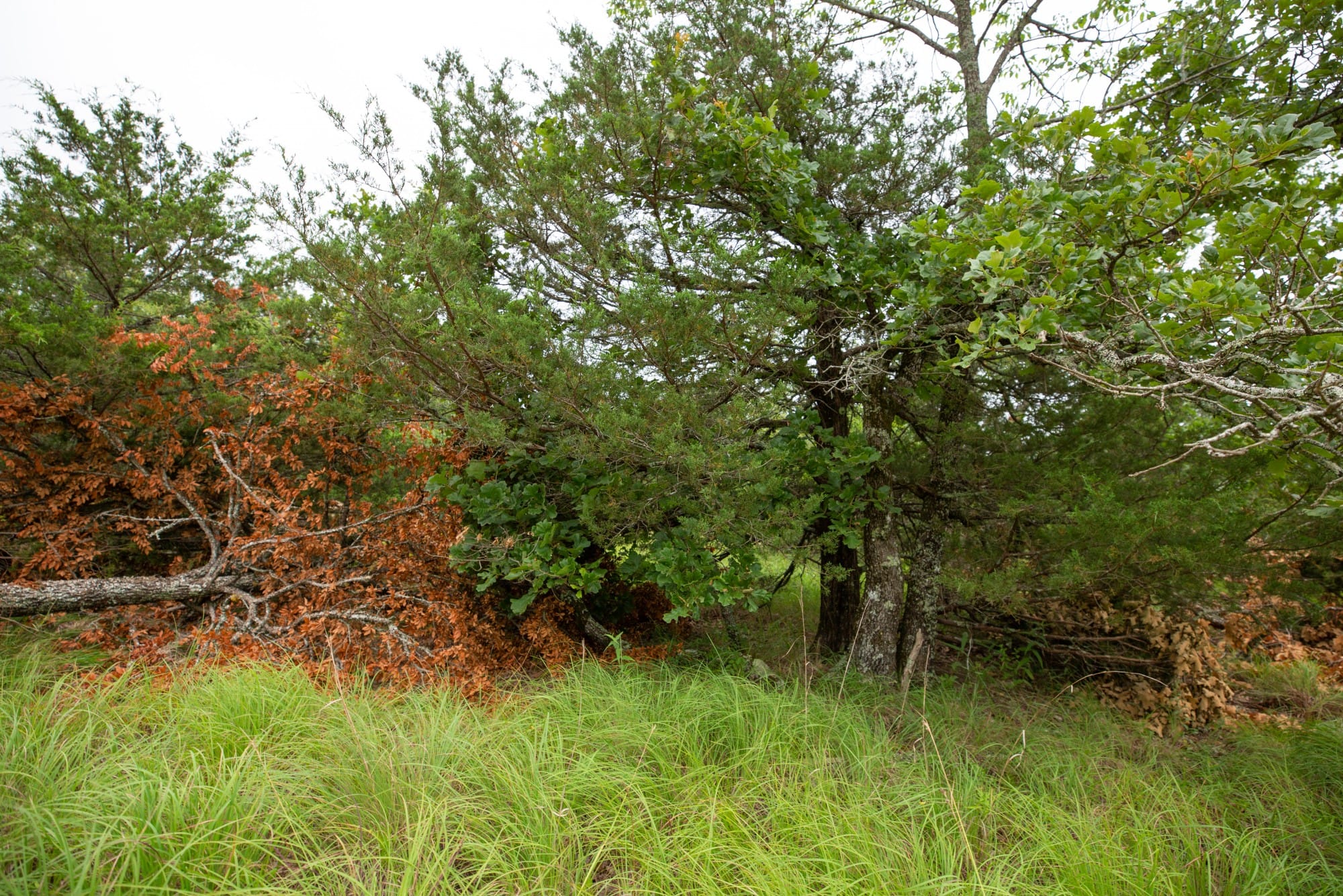 Eagle’s Nest Tract 75 photo 20