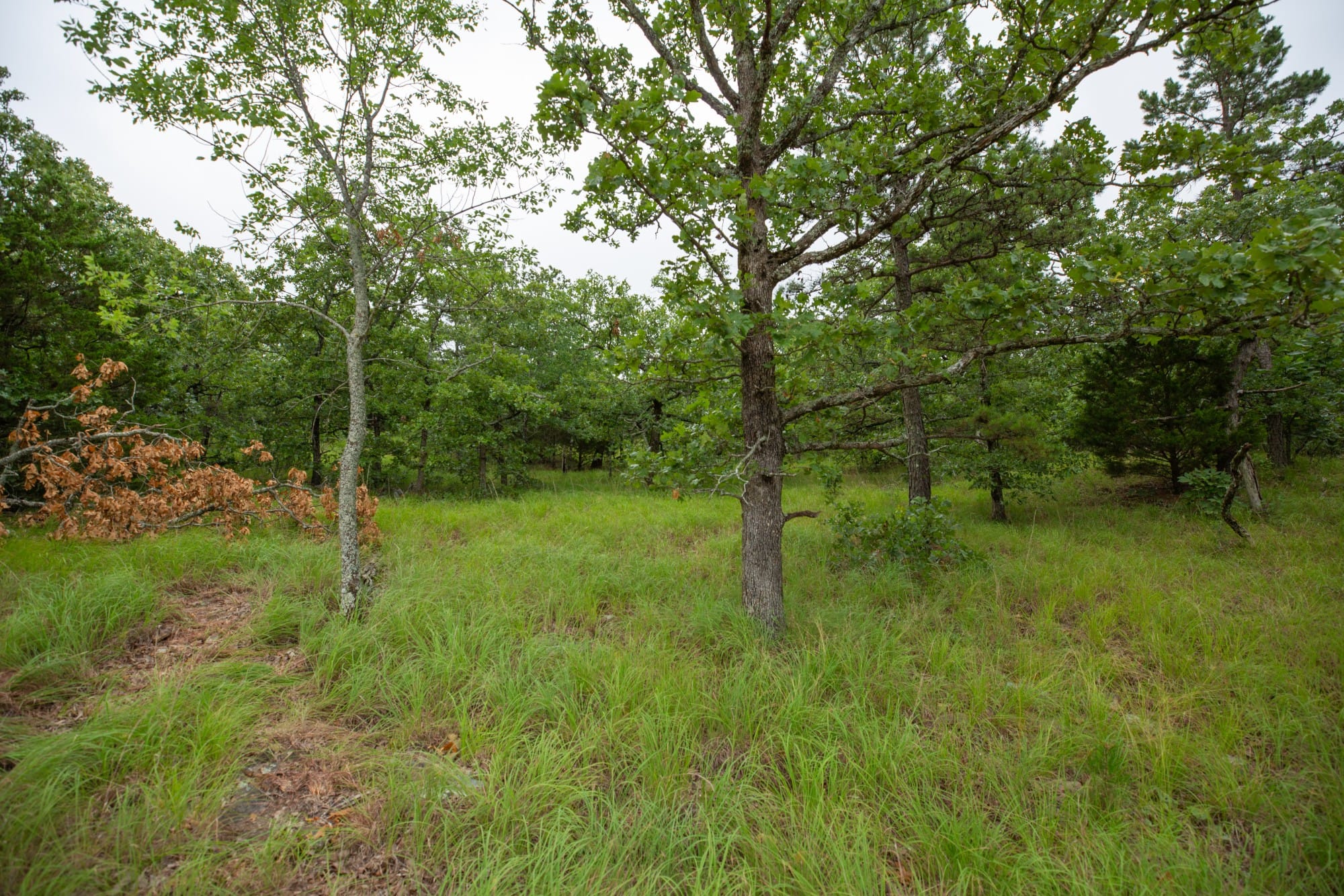 Eagle’s Nest Tract 75 photo 22