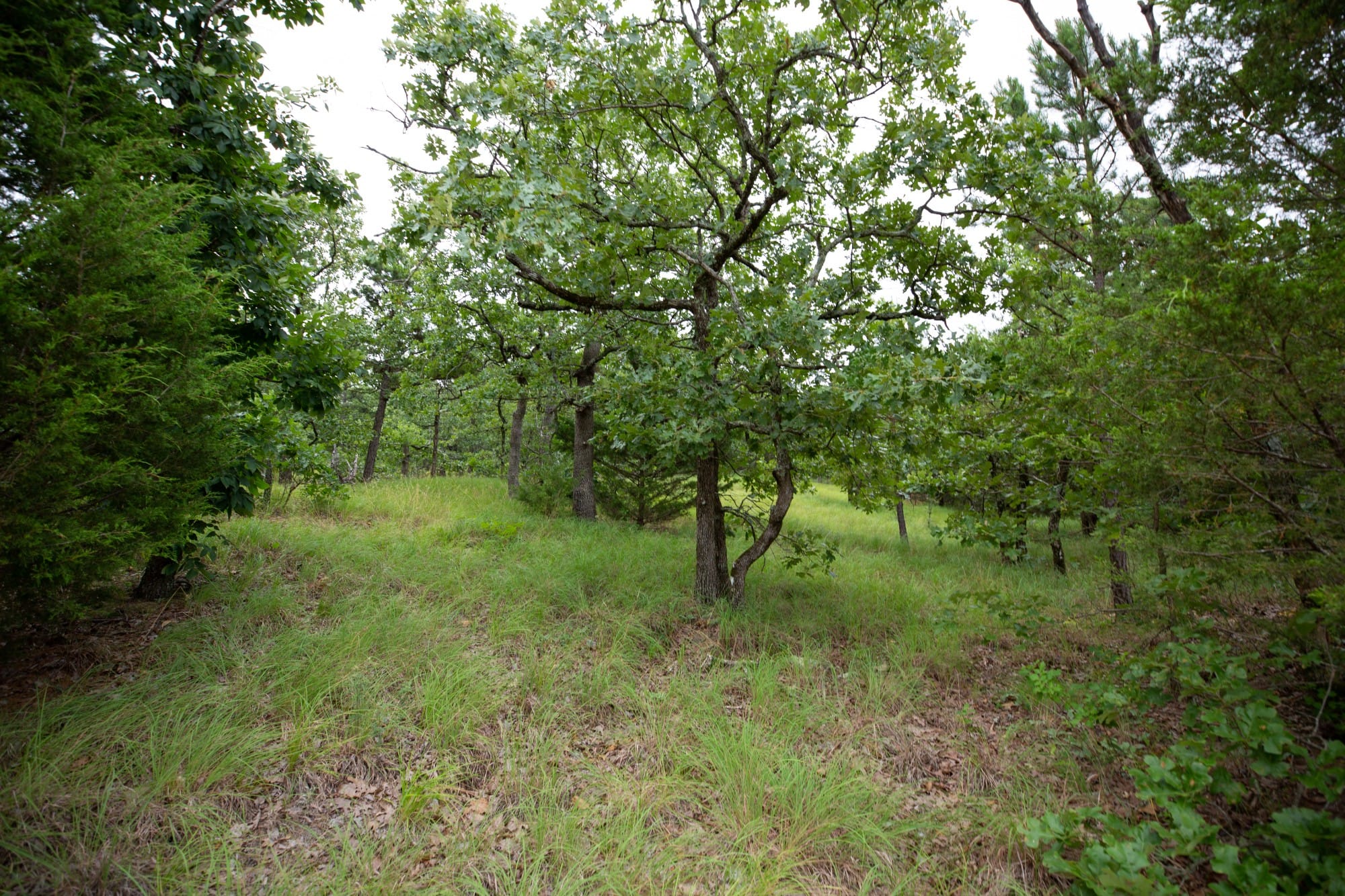 Eagle’s Nest Tract 75 photo 24
