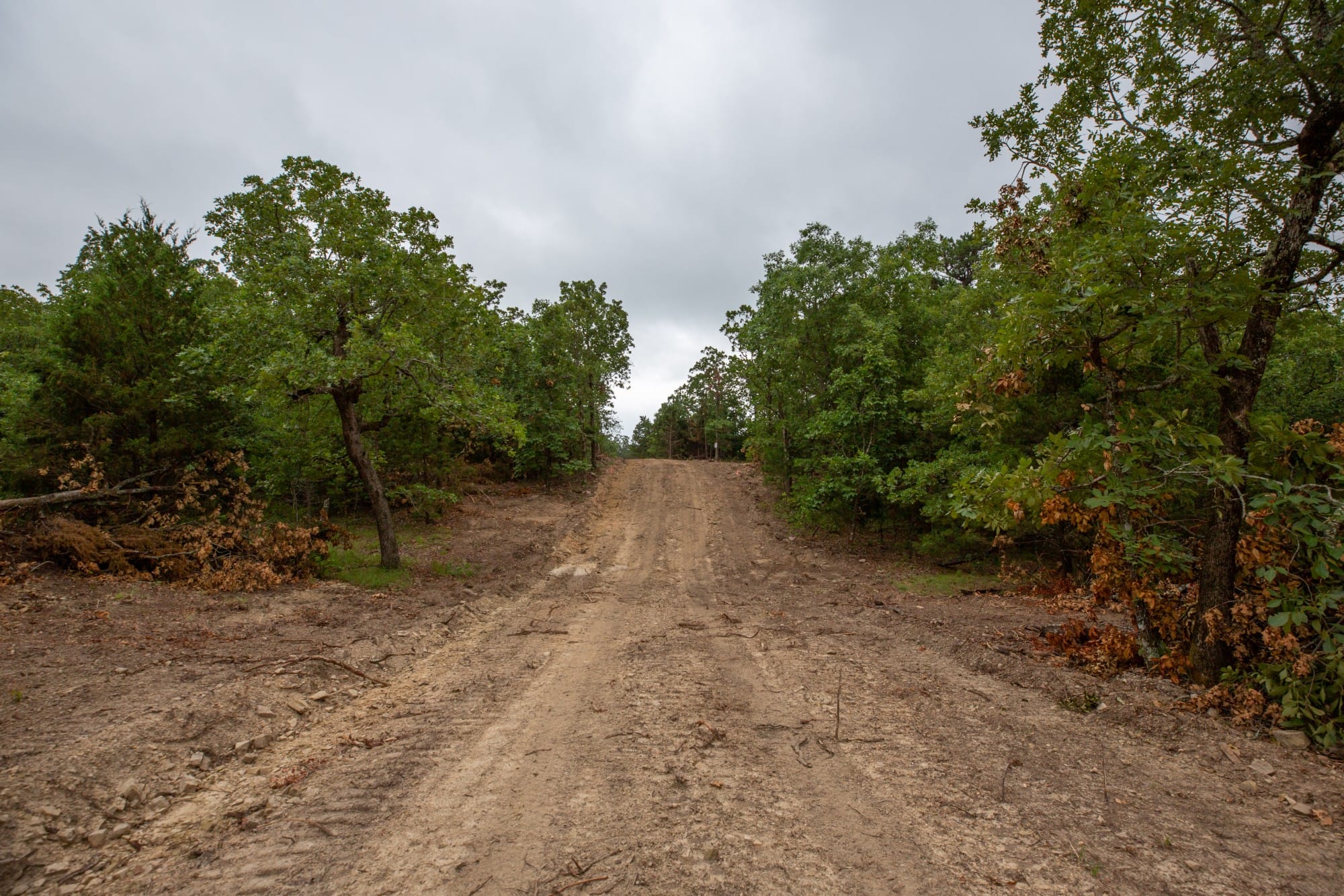 Eagle’s Nest Tract 75 photo 25