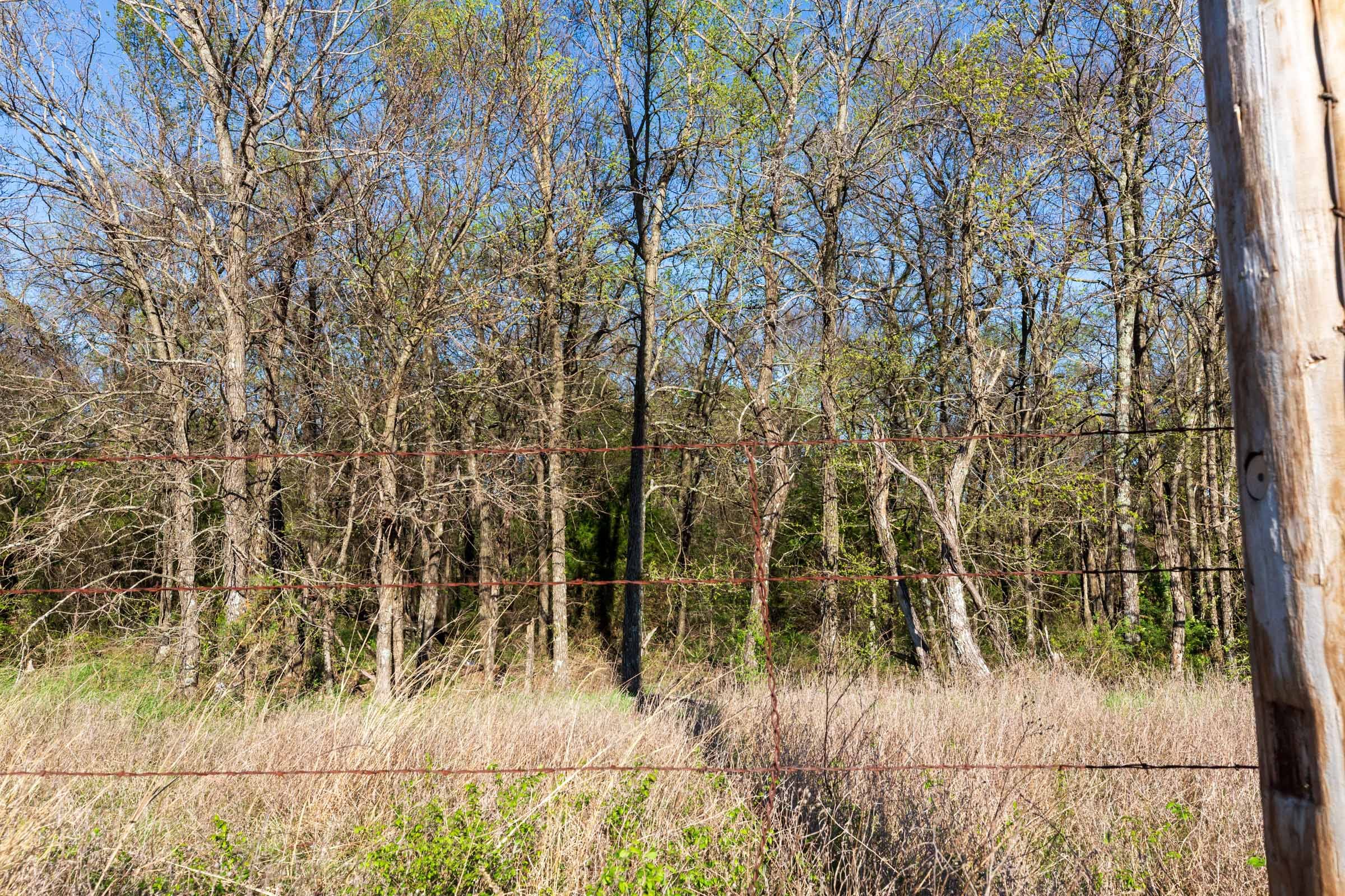Prairie Grove Tract 4 photo 6