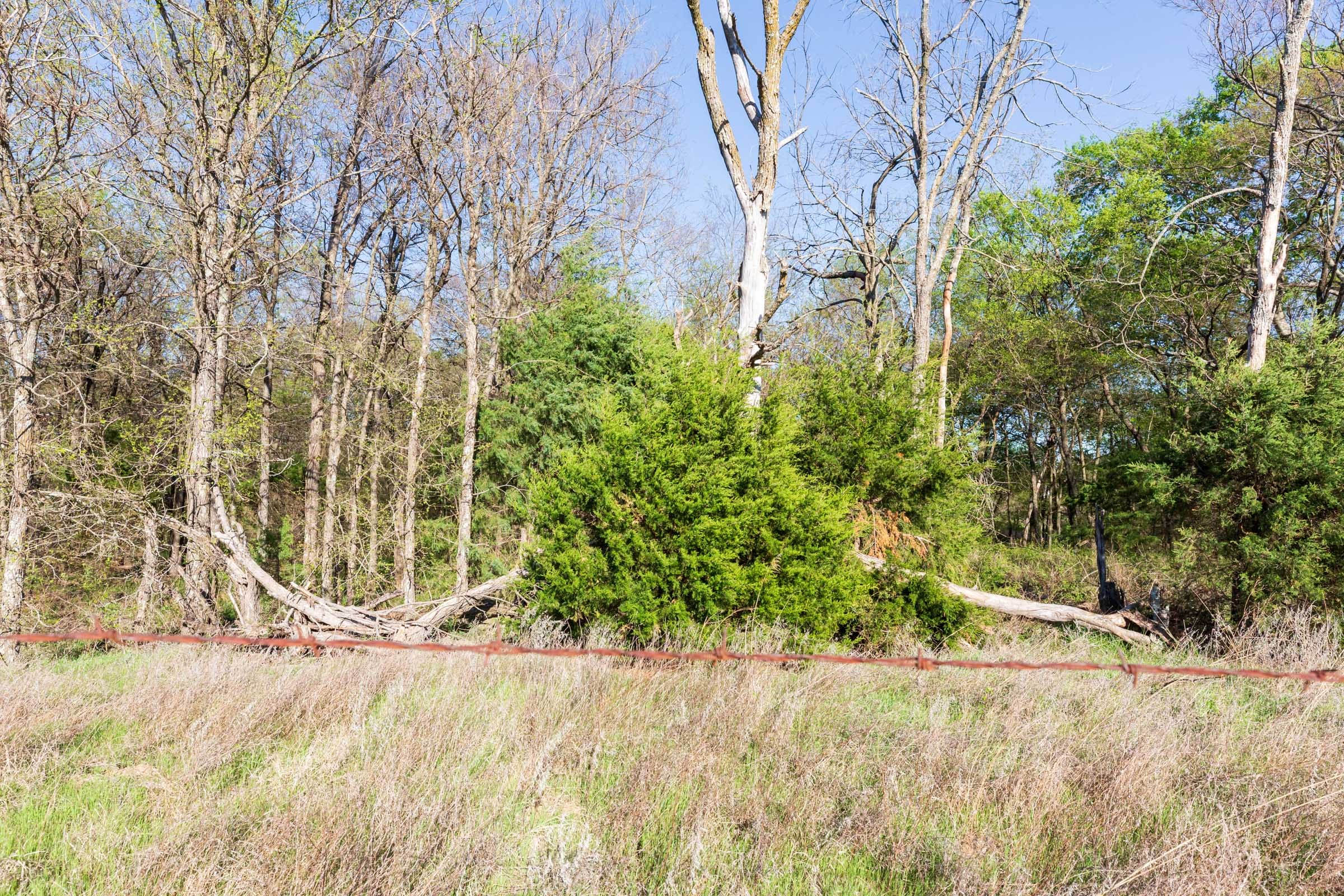 Prairie Grove Tract 4 photo 2