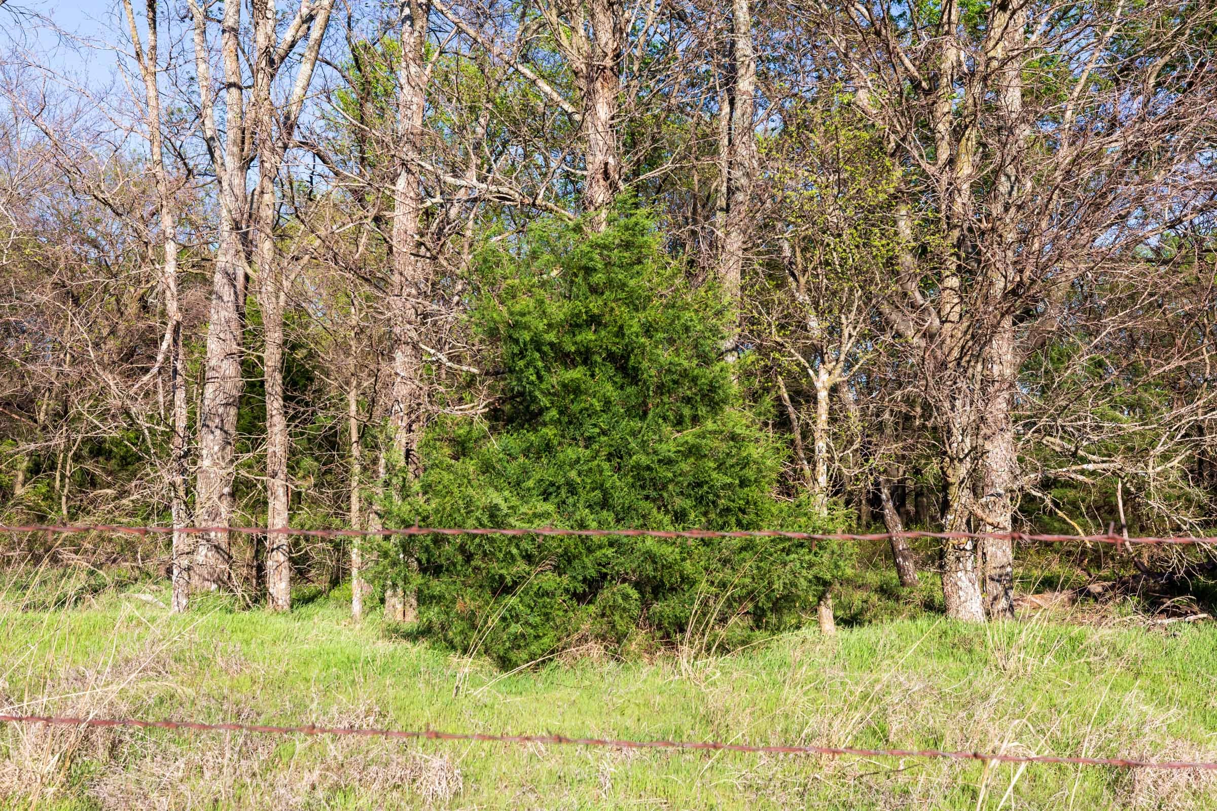 Prairie Grove Tract 4 photo 10