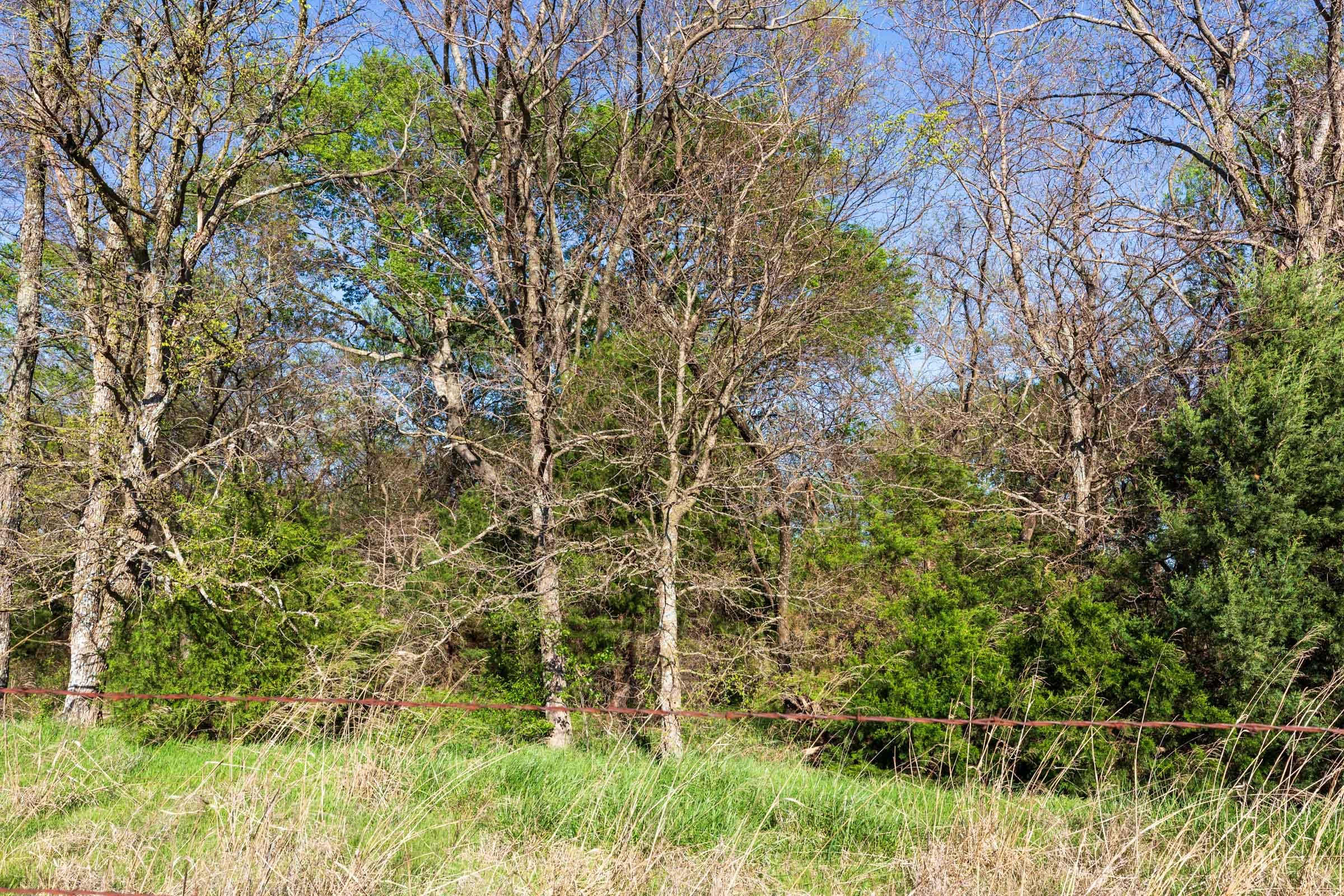 Prairie Grove Tract 4 photo 9