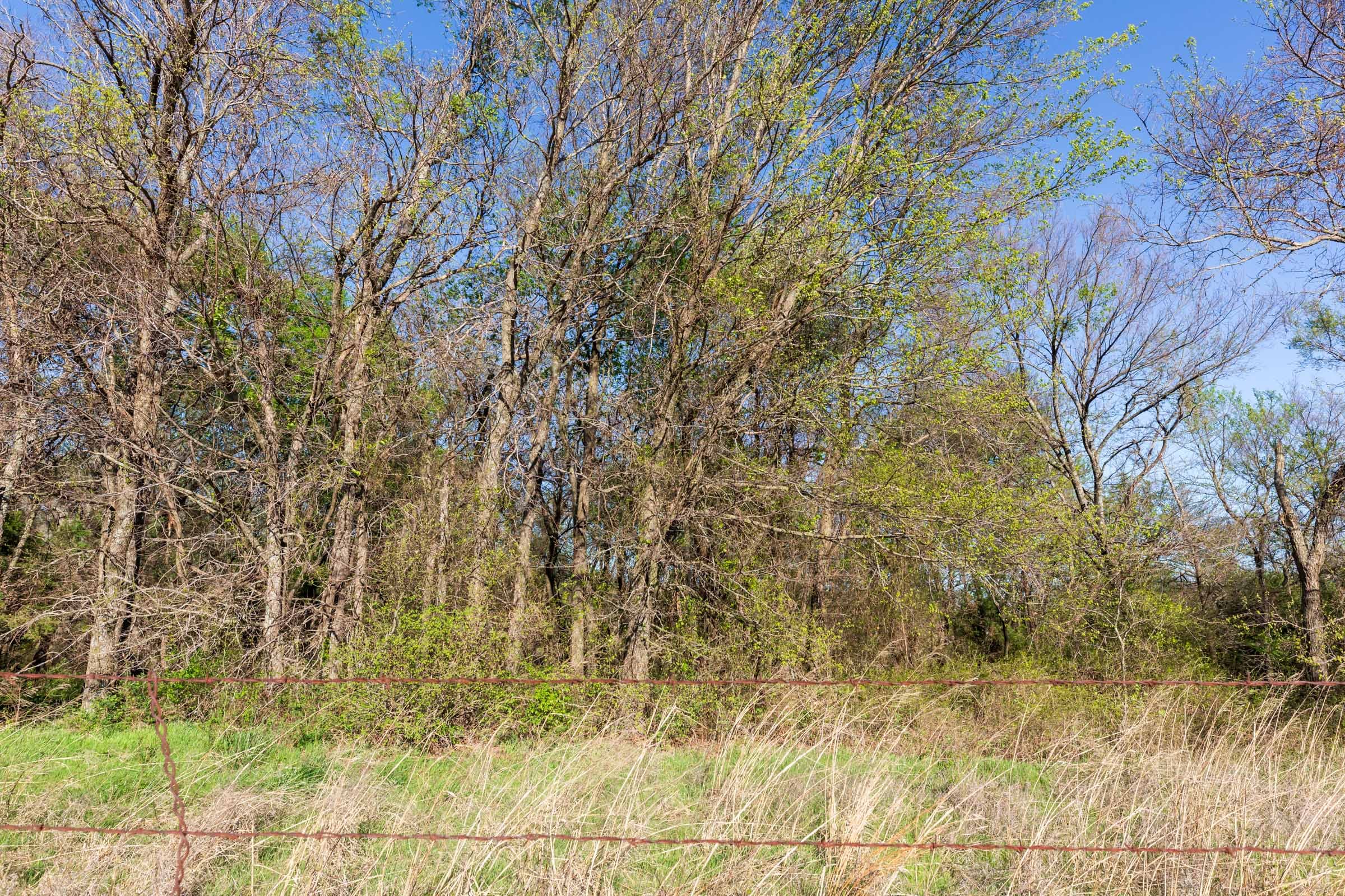 Prairie Grove Tract 4 photo 13