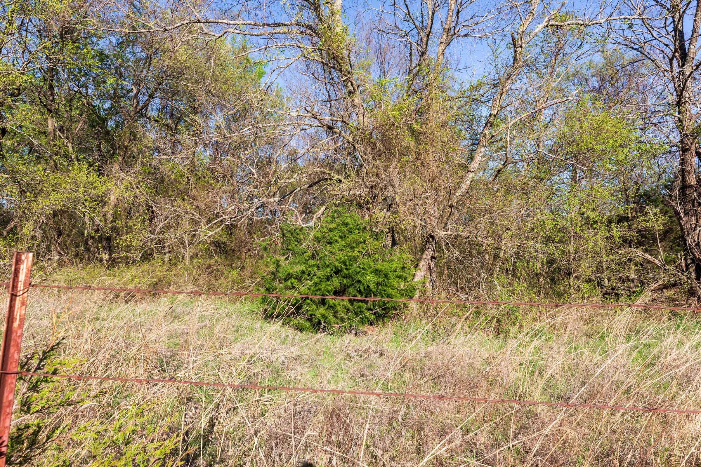 Prairie Grove Tract 4 photo 5