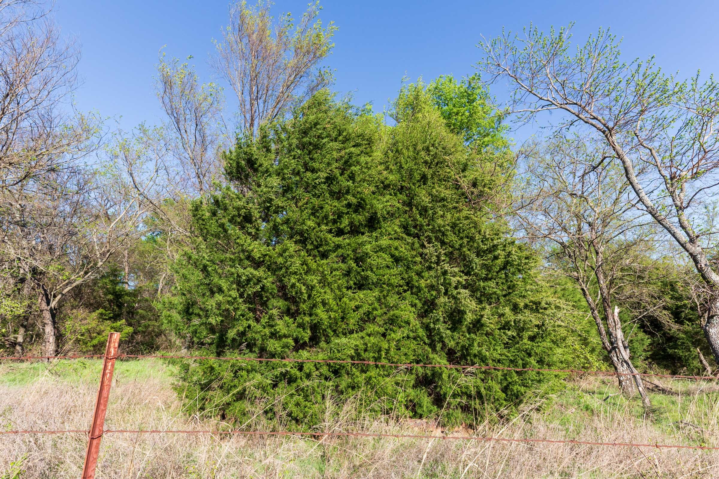 Prairie Grove Tract 4 photo 8