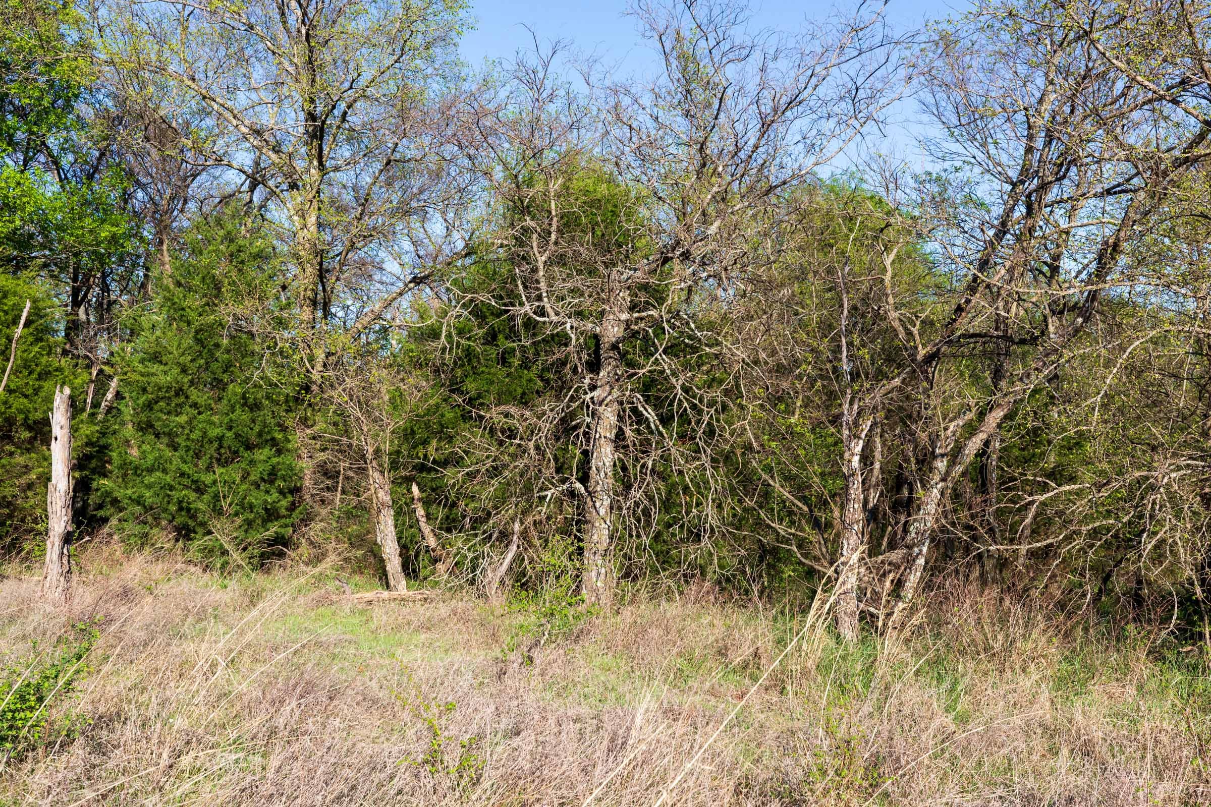 Prairie Grove Tract 4 photo 11