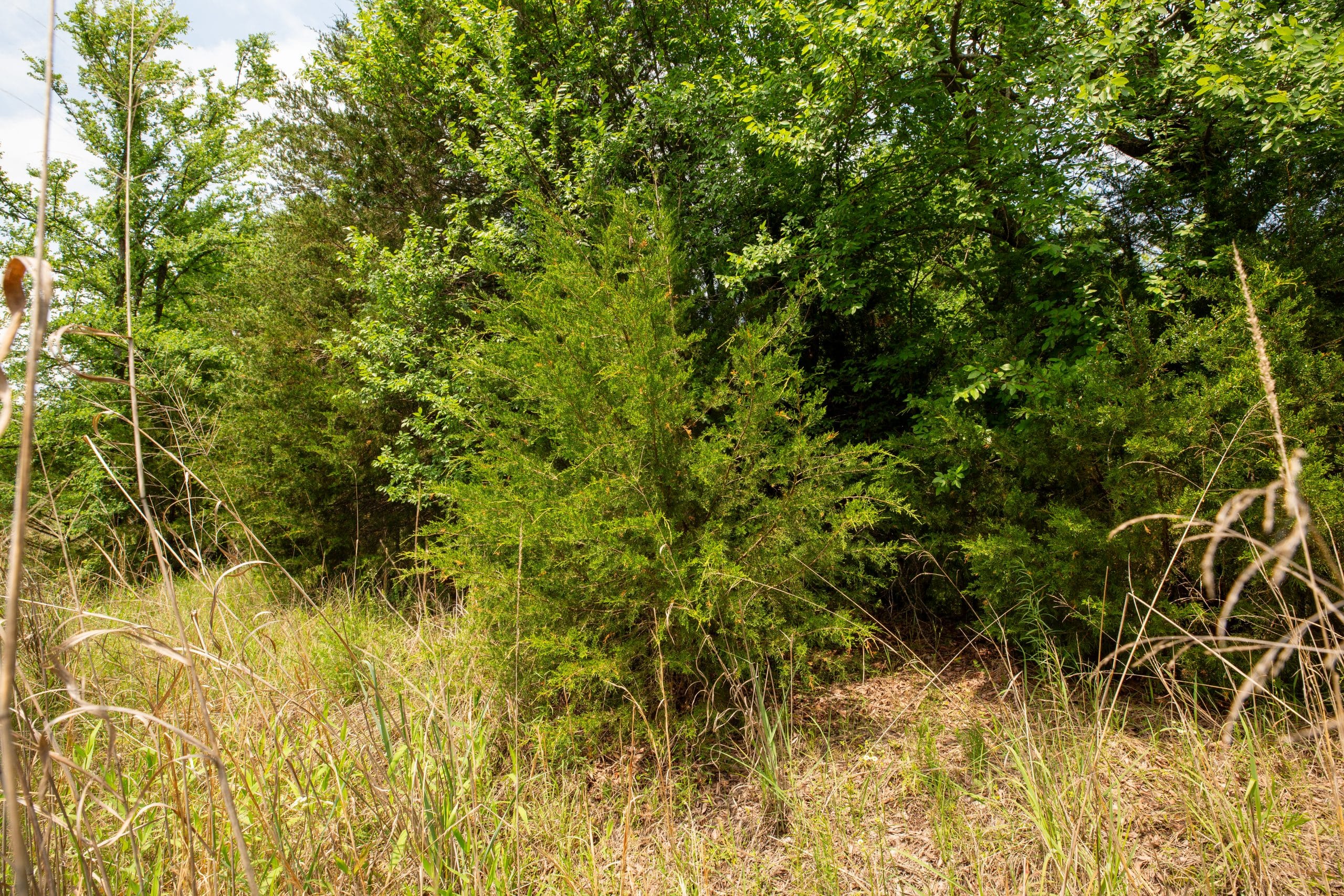 Prairie Grove Tract 4 photo 12