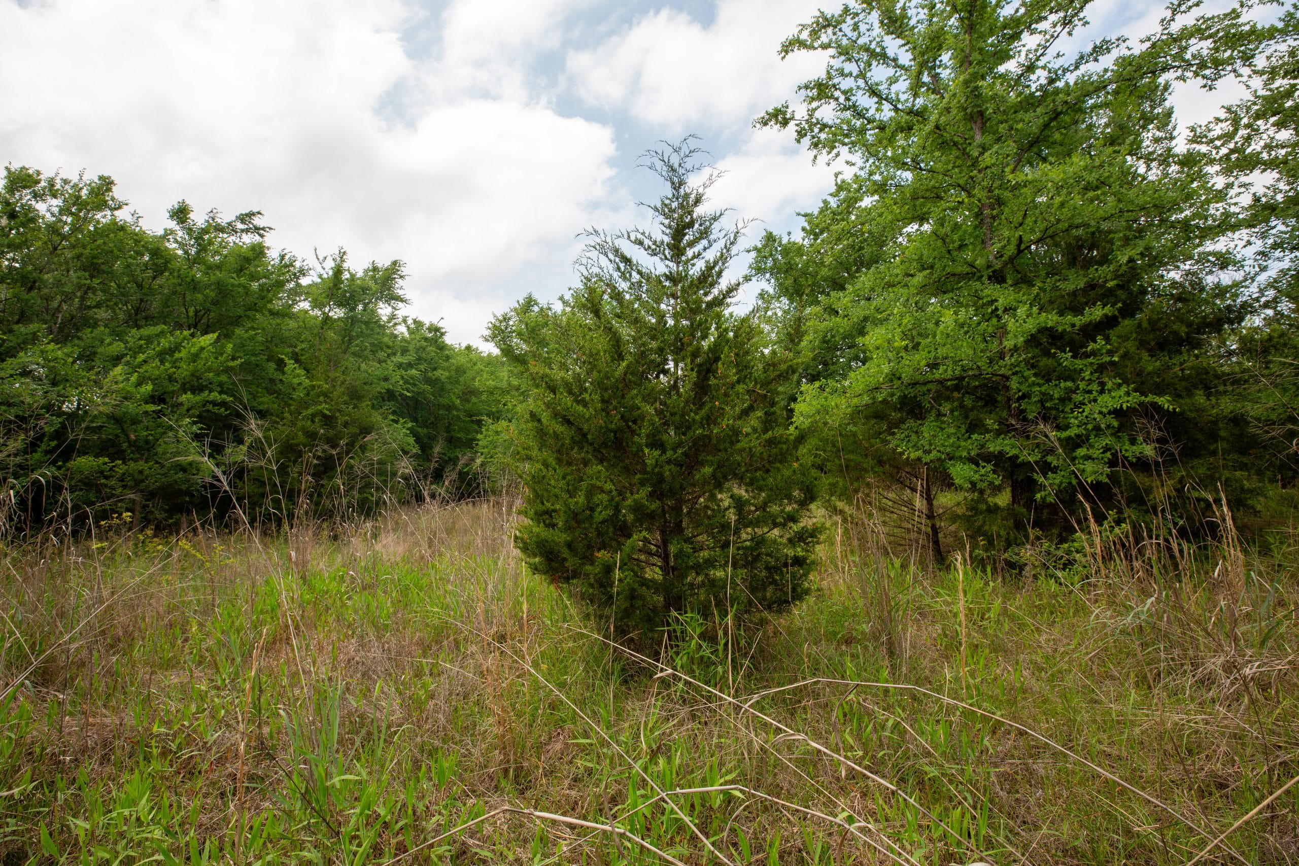 Prairie Grove Tract 4 photo 7