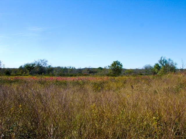 Saddlebrook Ranch Tract 16 photo 3