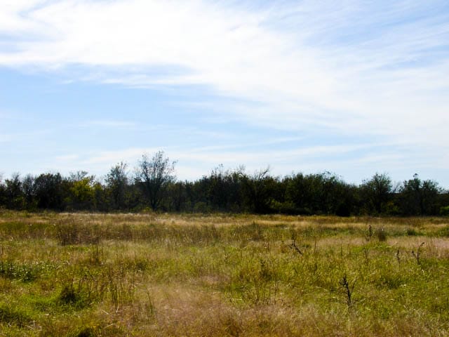 Saddlebrook Ranch Tract 16 photo 4