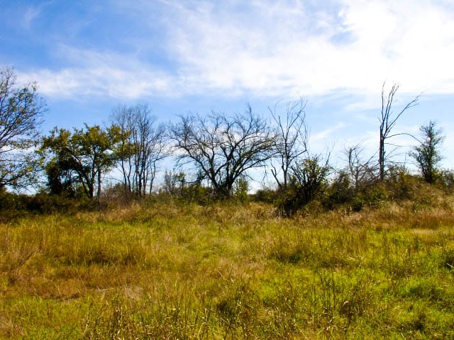 Saddlebrook Ranch Tract 16 photo 5
