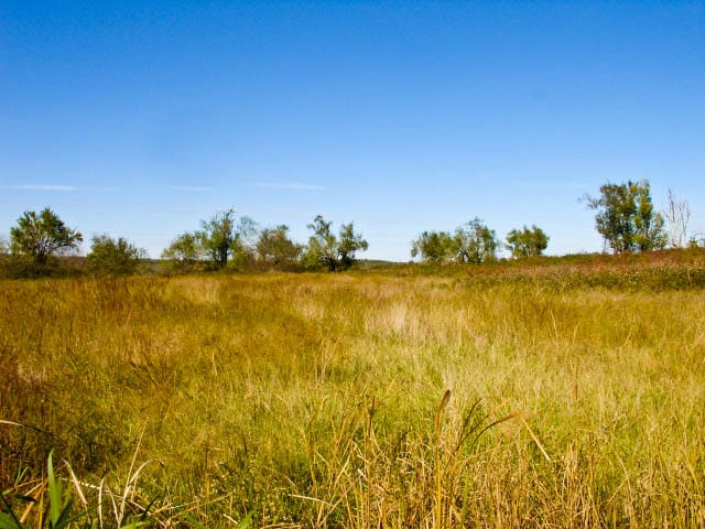 Saddlebrook Ranch Tract 16 photo 6