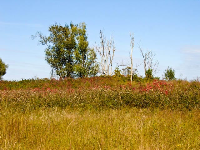 Saddlebrook Ranch Tract 16 photo 7