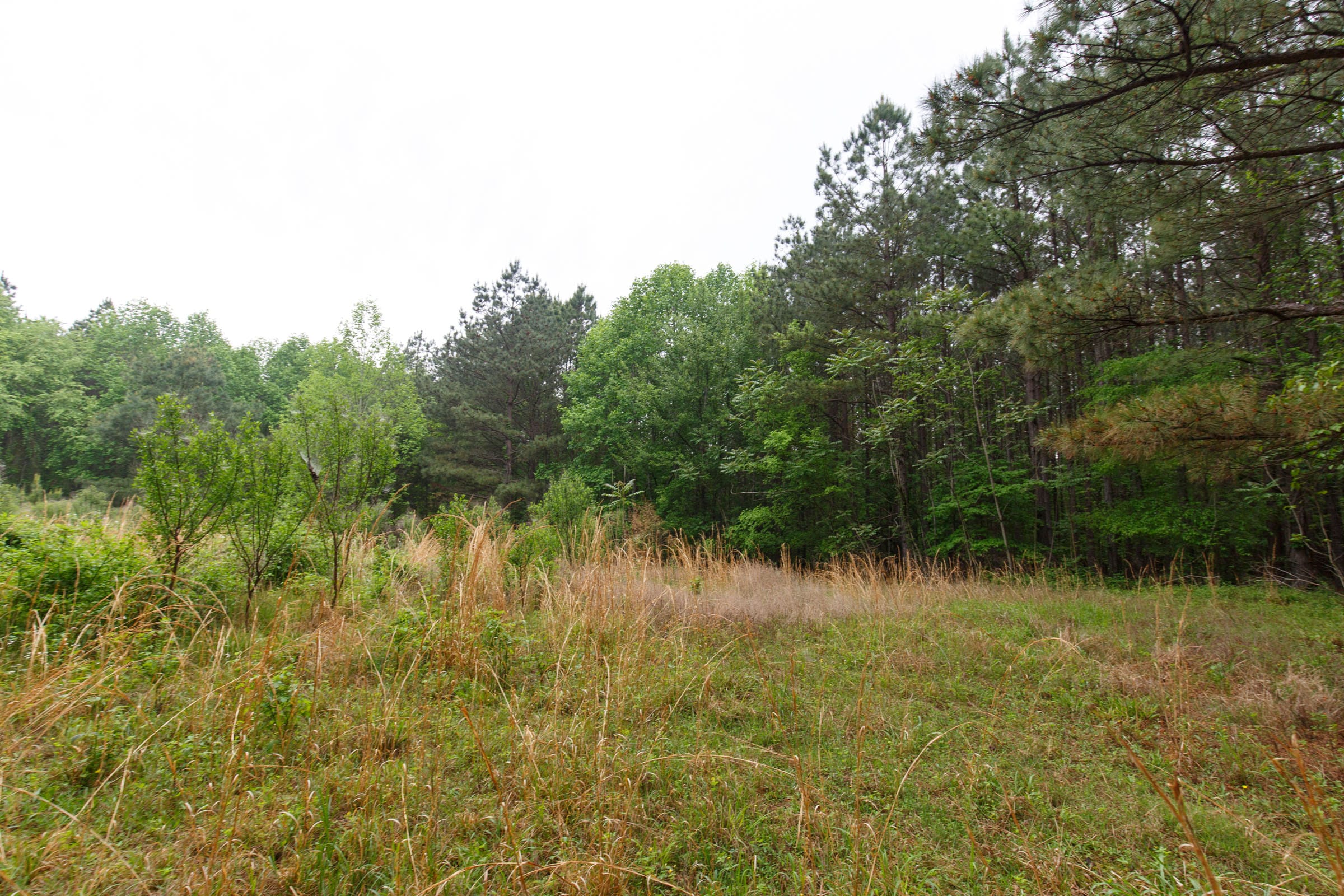 Red Barn Ranch Tract 30 photo 3