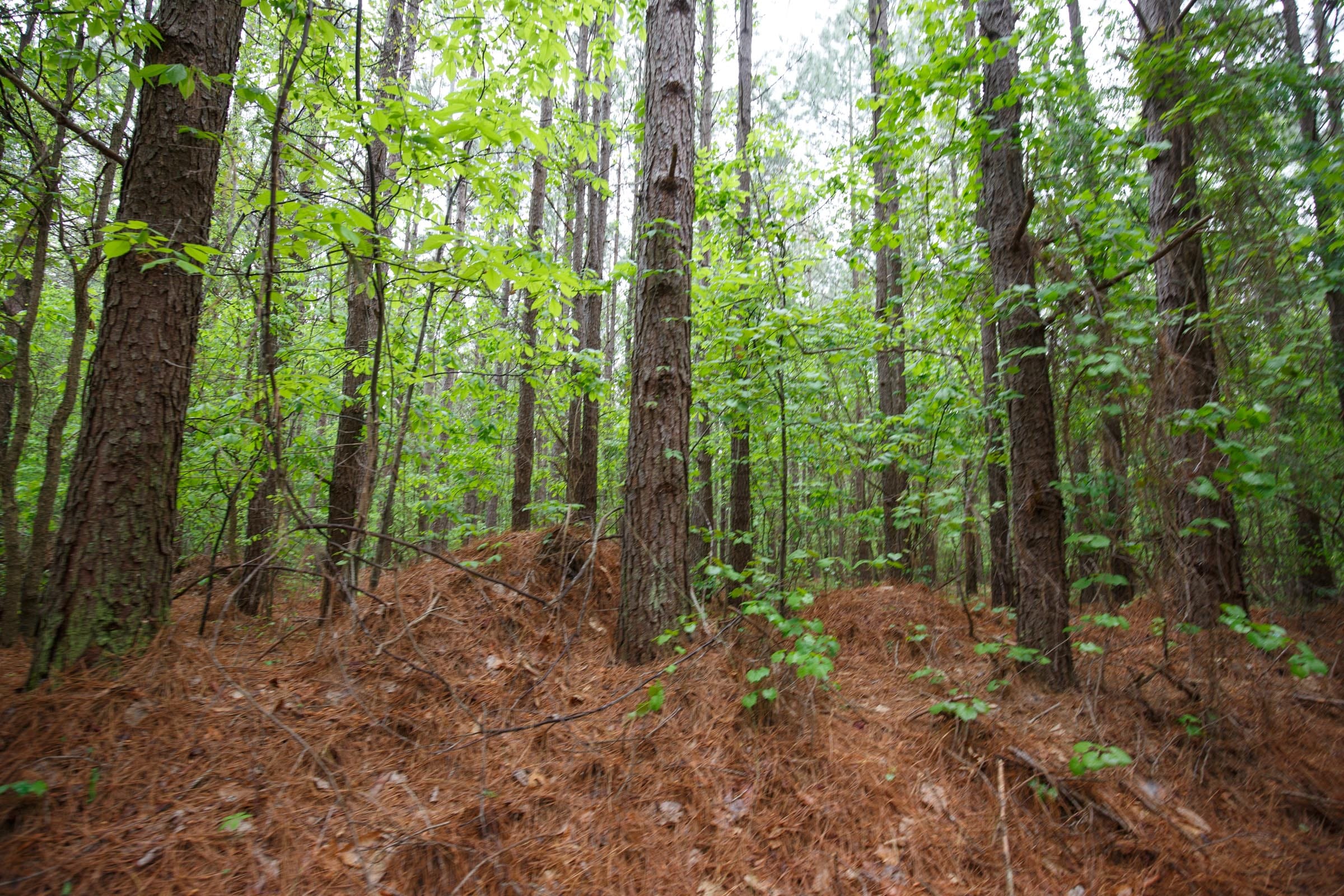 Red Barn Ranch Tract 30 photo 2