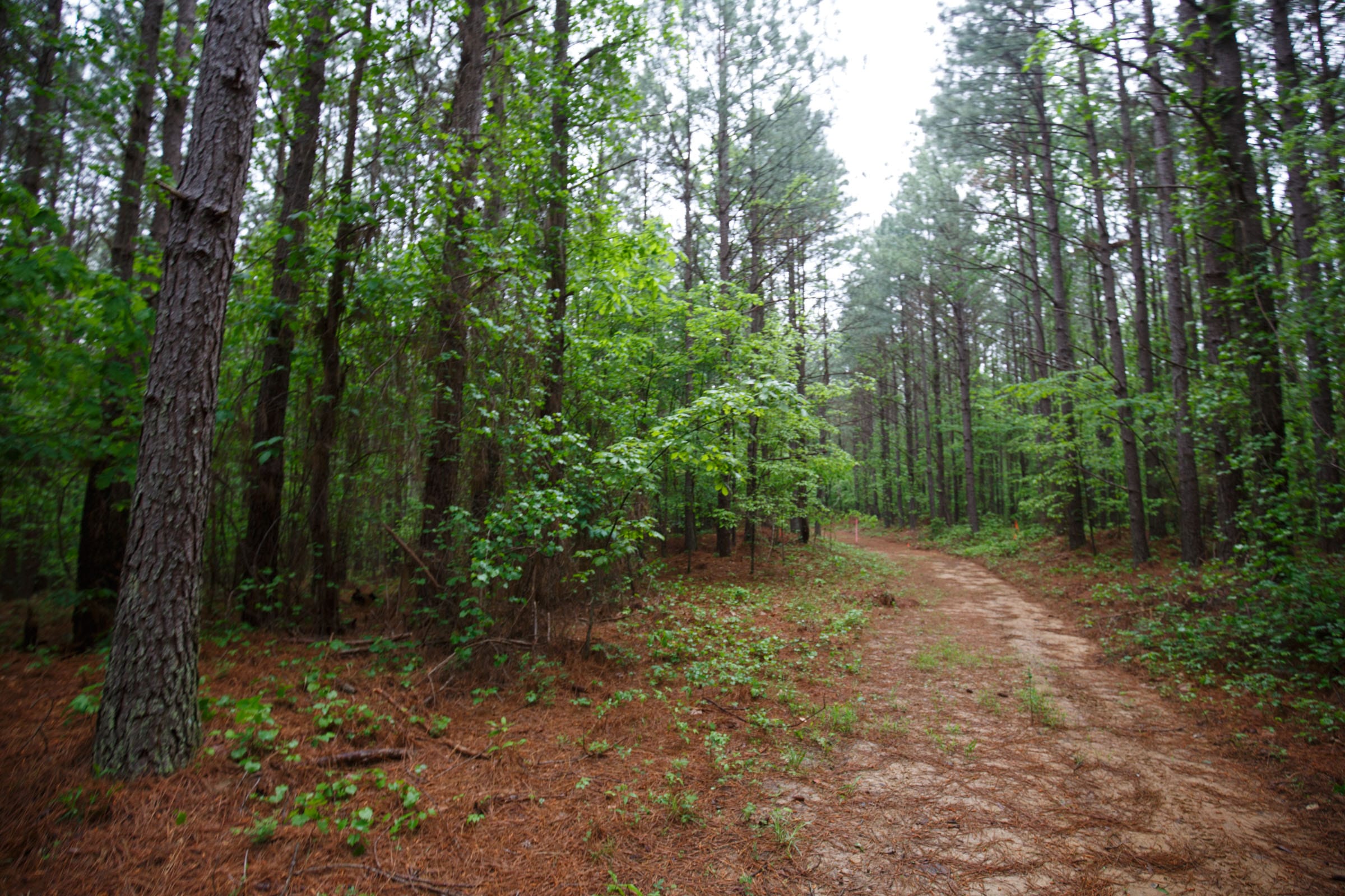 Red Barn Ranch Tract 30 photo 5