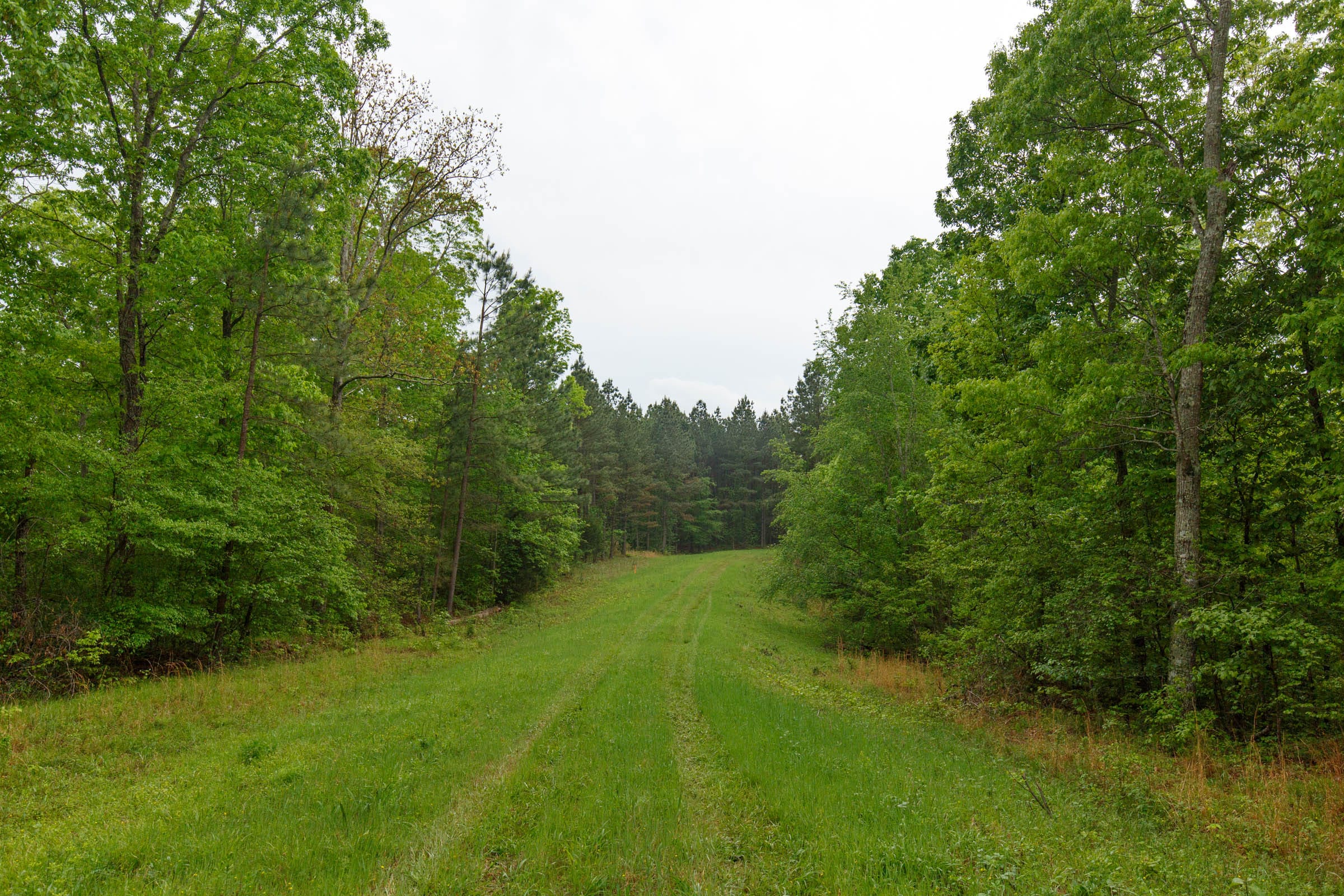 Red Barn Ranch Tract 30 photo 1
