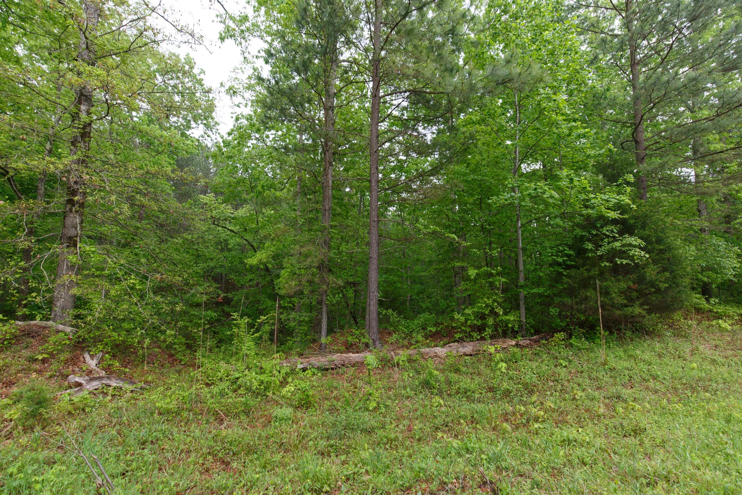 Red Barn Ranch Tract 30 photo 9