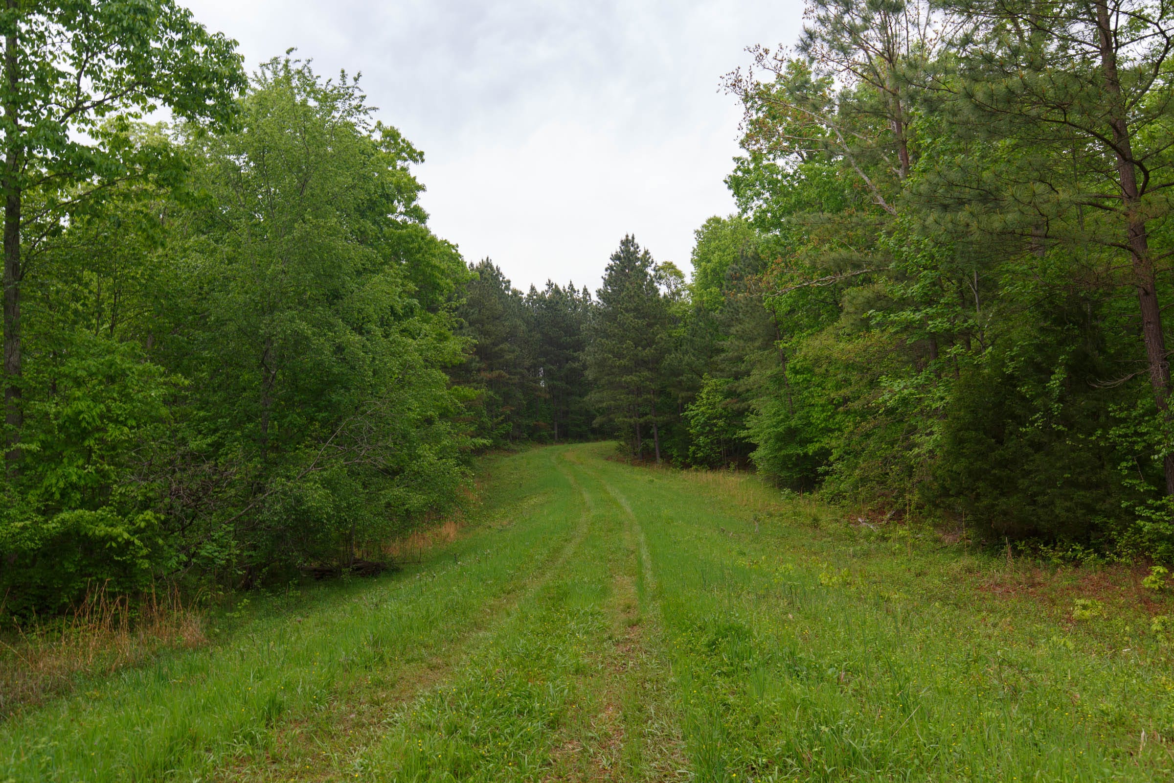 Red Barn Ranch Tract 30 photo 8