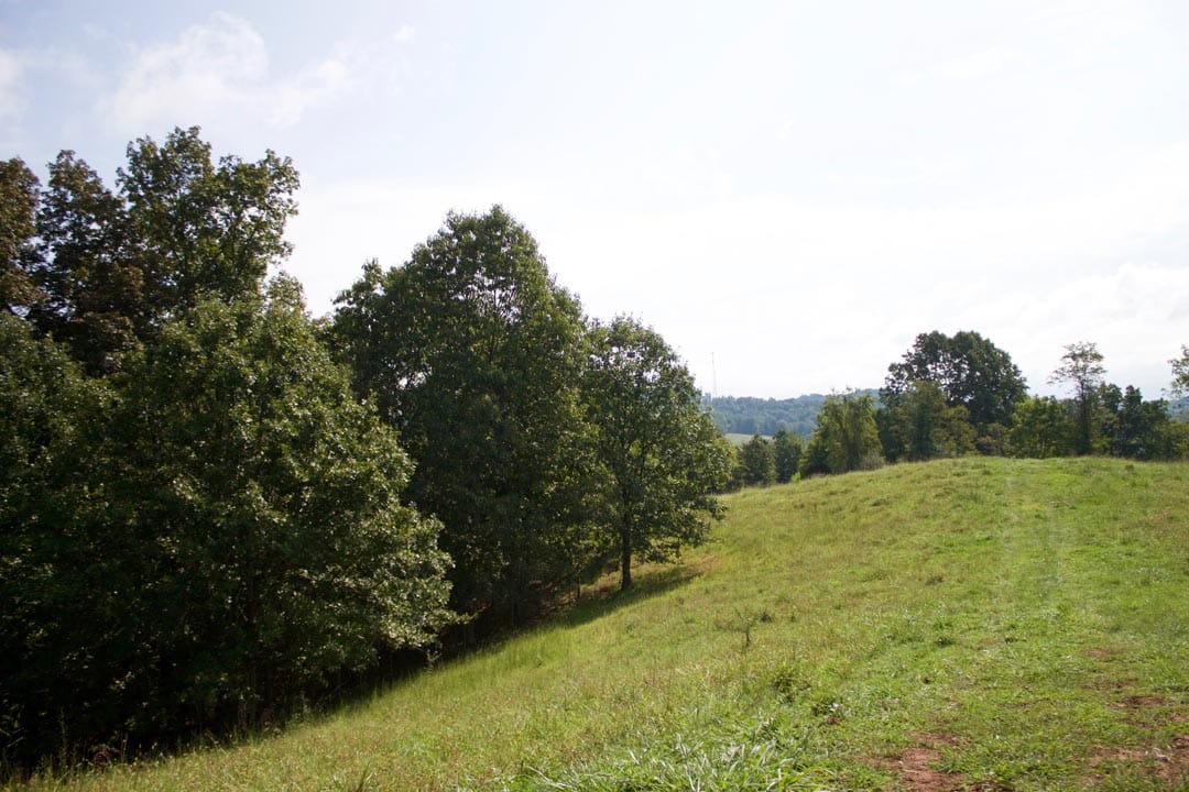 Heritage Hollow Tract 29 photo 2