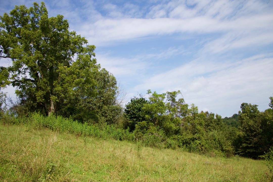 Heritage Hollow Tract 29 photo 3