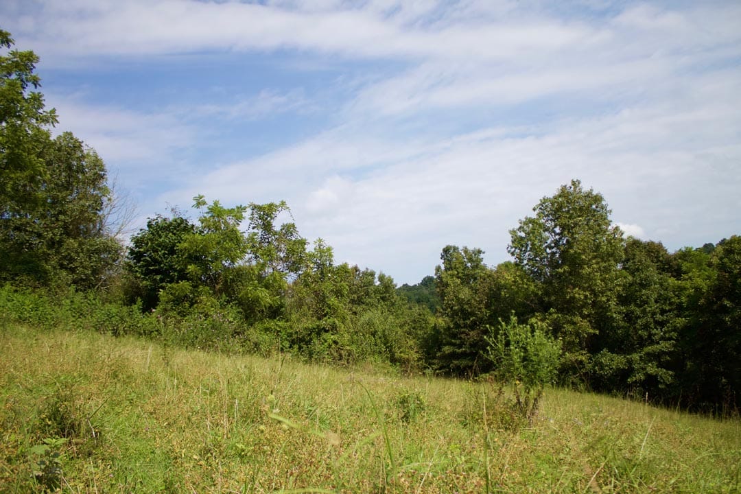 Heritage Hollow Tract 29 photo 4