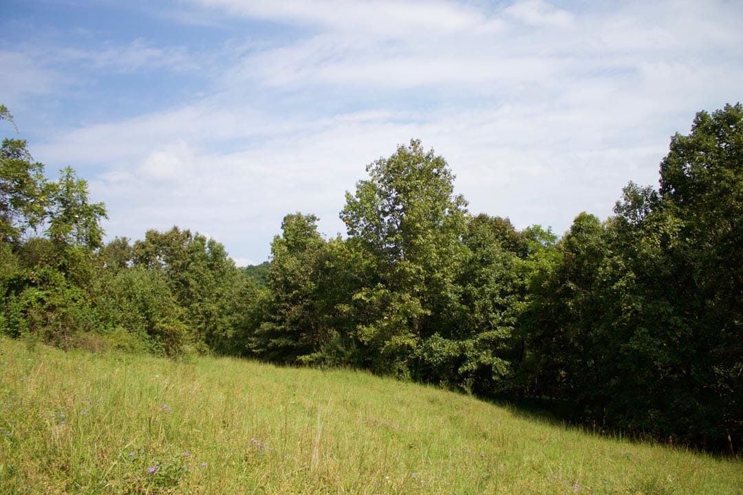Heritage Hollow Tract 29 photo 6