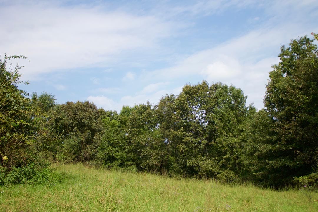 Heritage Hollow Tract 29 photo 7