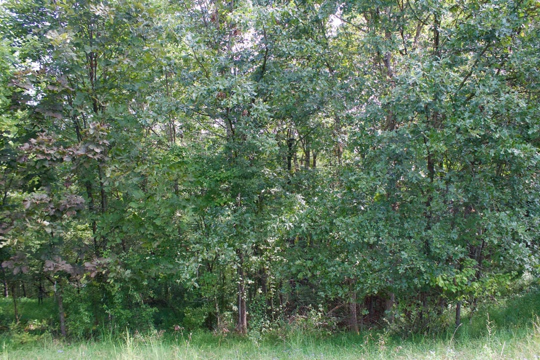 Heritage Hollow Tract 29 photo 9