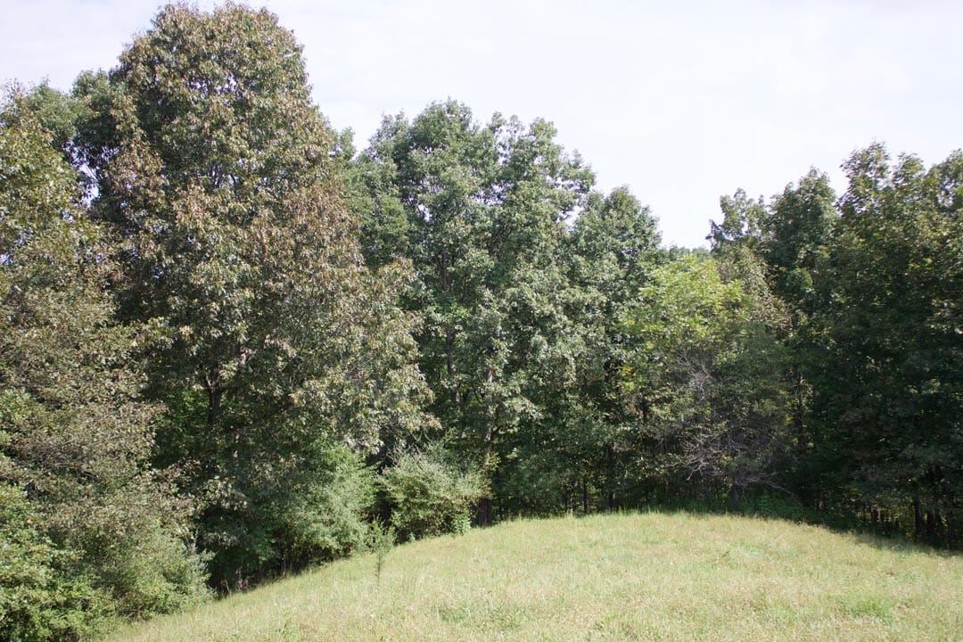 Heritage Hollow Tract 29 photo 12