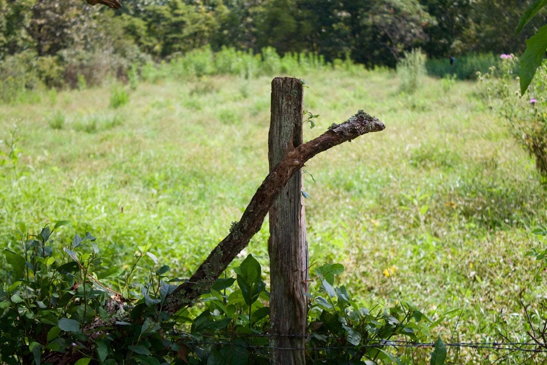 Heritage Hollow Tract 29 photo 16