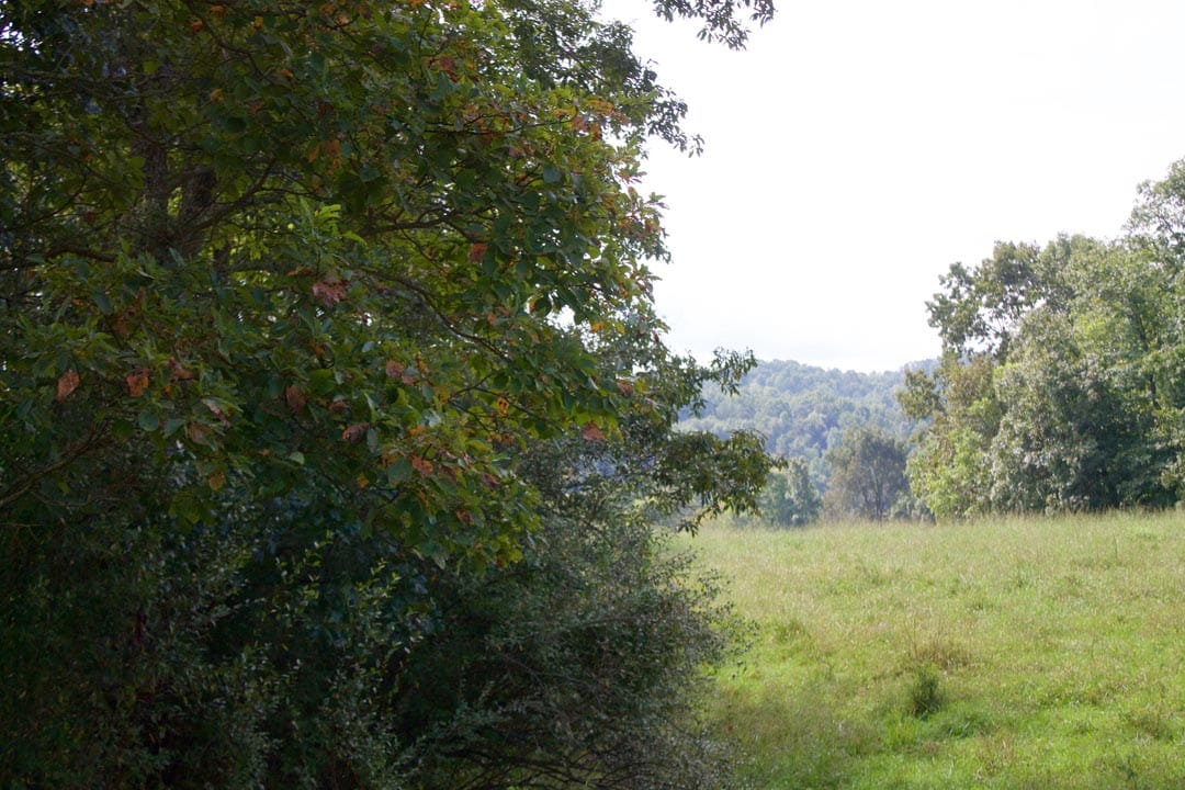Heritage Hollow Tract 29 photo 17